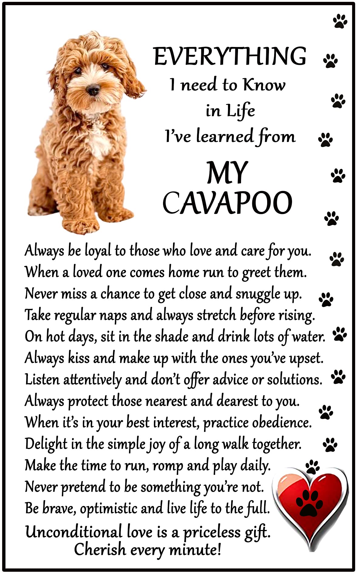 Fridge Magnets Cavapoo Dog Lover (I Learned From My Cavapoo) Gift - Large Fun Flexible Fridge Magnet- Size 16Cms X 10 Cms (Approx. 6" X4")
