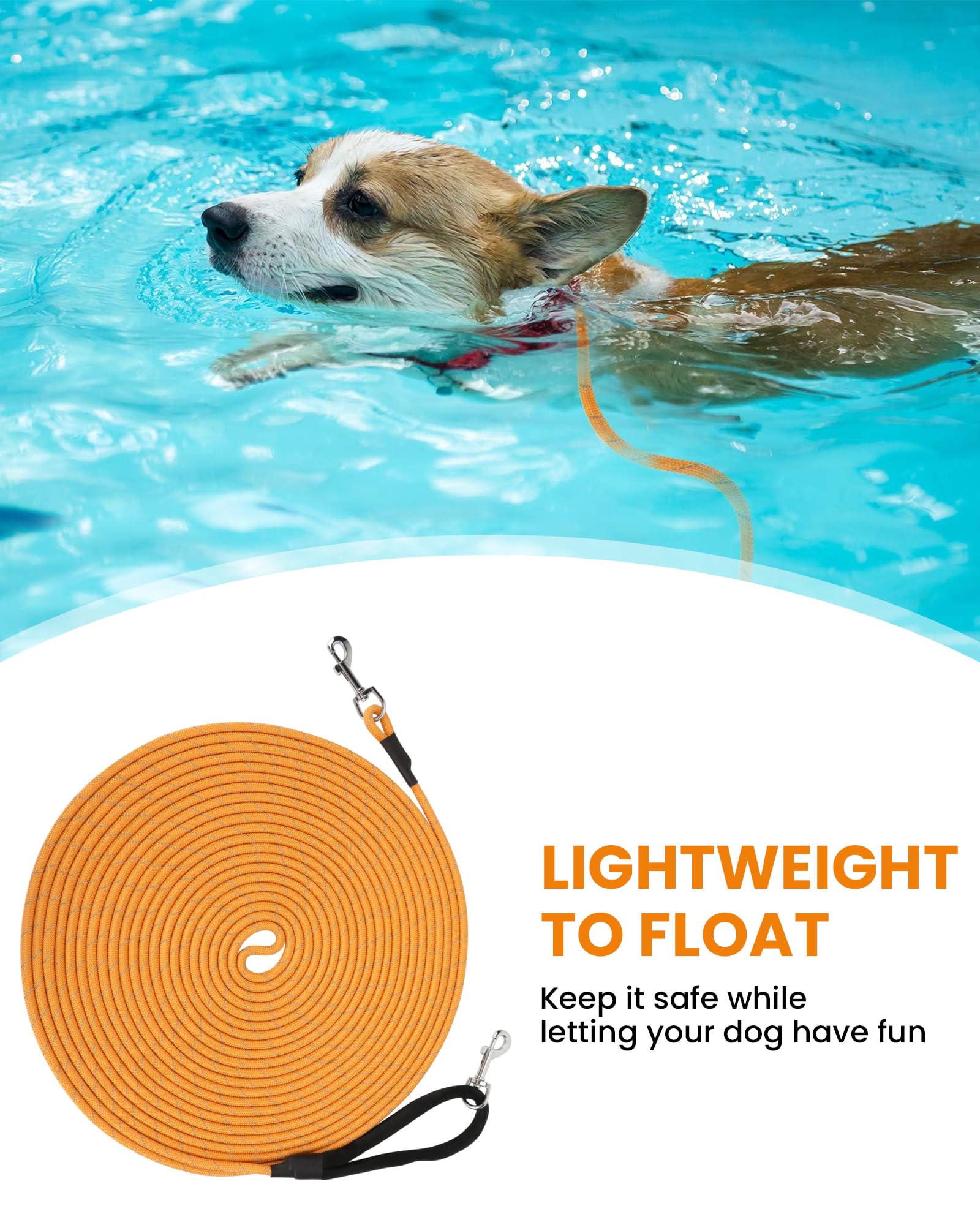 PETTOM Longe Chien 3m 5m 10m 15m 20m, Laisse Chien Longue avec 2 Mousquetons, Longe Corde d'attache Réfléchissante, 10m, Orange