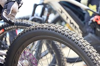 IRC TANKEN GEKKOTA 29x2.3 2本　ゲコタ TANKEN GEKKOTA TUBELESS READY | アイ・アール・シー 井上ゴム