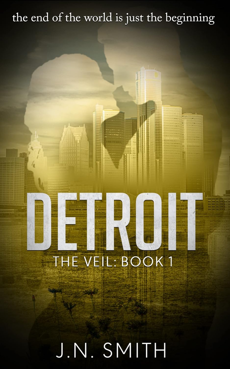DETROIT : A Dystopian Love Story (The Veil Book 1)