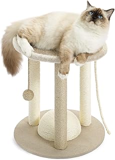 Made4Pets Cat Scratching Posts for Indoor Cats, Small Kitten Scratcher Toy with Dangling Ball, Sisal Ropes Nail File Scratch Pole, Cute Cat Tree with Top Perch Lounger for Kitty