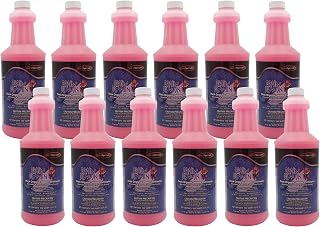 Quest 2900 DRAIN DEMON Thick Organic Waste Eliminator Quarts (Case of 12)