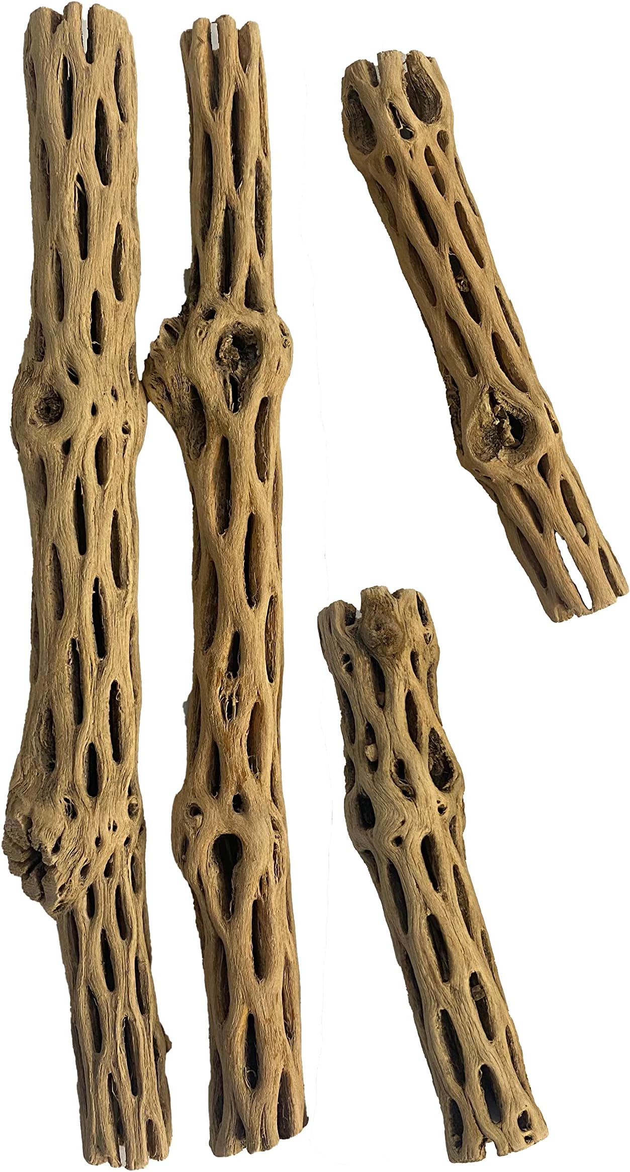 Awesome Aquatic Natural Cholla Choya Wood Combo 4 Pieces 2-12" & 2-6” Habitat for Shrimp Hermit Crabs Plecos Reptiles Aquarium Driftwood Decoration Lowers pH Hideouts and Food Treat Chew Toy Organic