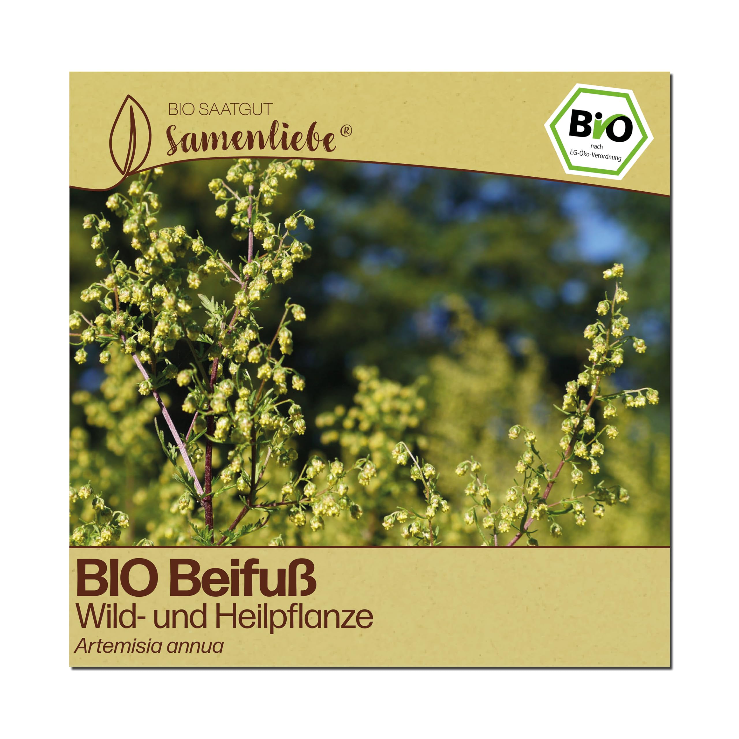 Samenliebe BIO Beifuß Samen | Gemeiner Beifuß - Heilpflanze - samenfestes BIO Saatgut