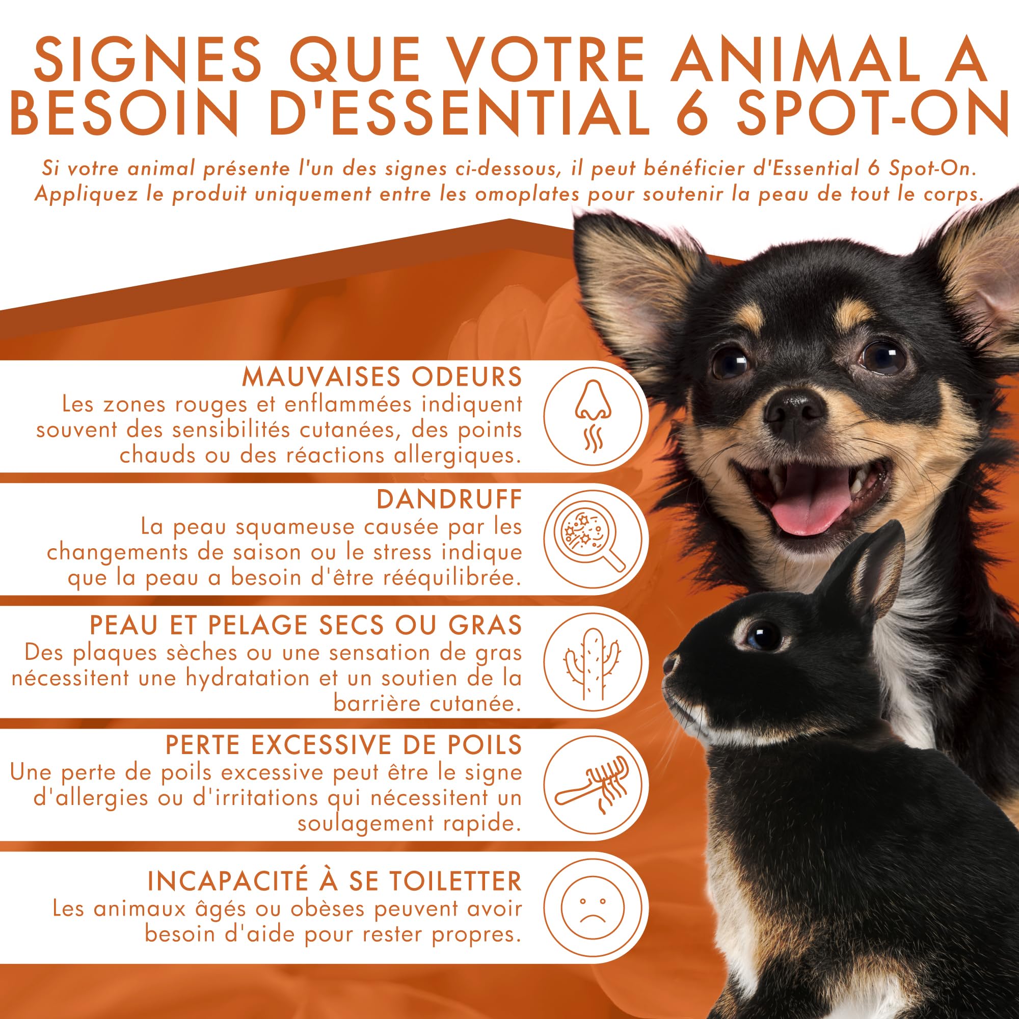 Essential 6 Spot-on pour Chien et Petits Mammifères 0–10 kg | Soin Cutané Multifonctionnel Naturel | 4 Pipettes x 0,6 ML | Dermoscent