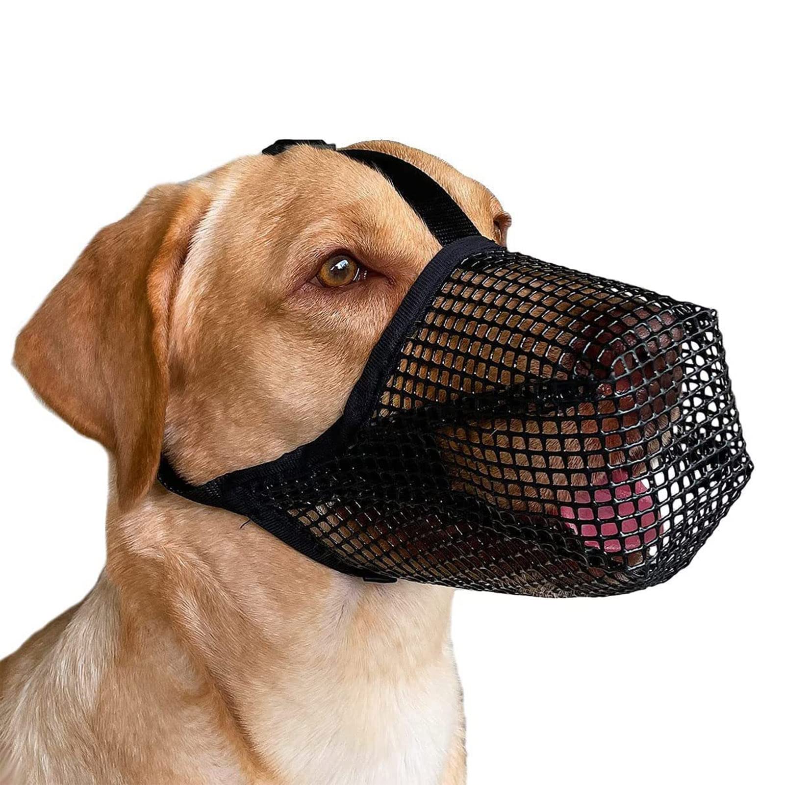 Dog's Mouth Do Muzzles Help With Barking Mouth Guard Muzzle A