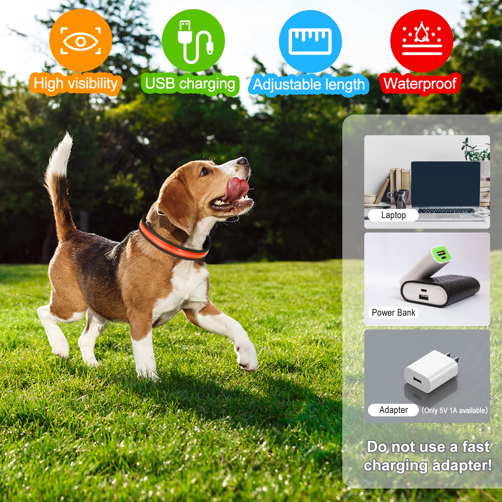 TENXSNUG Collare Luminoso per Cani Ricaricabile USB, Collare per Cani a LED Regolabile con 3 Modalità di Illuminazione per Cani di Piccola Media Grande Taglia in Tutta Sicurezza di Notte -Rosso-S