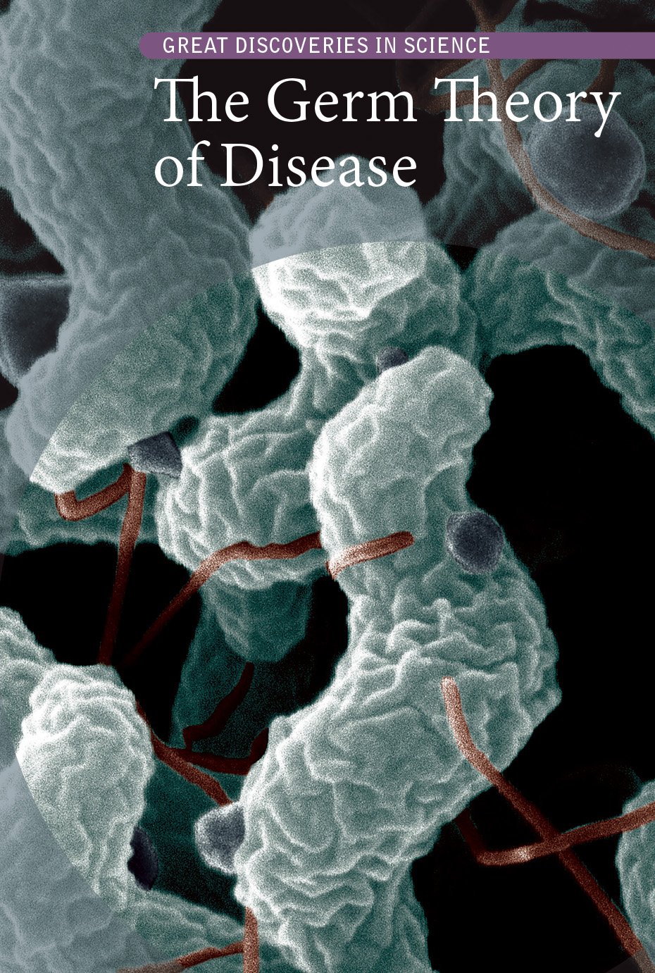 Buy The Germ Theory of Disease (Great Discoveries in Science) — BookShops.in