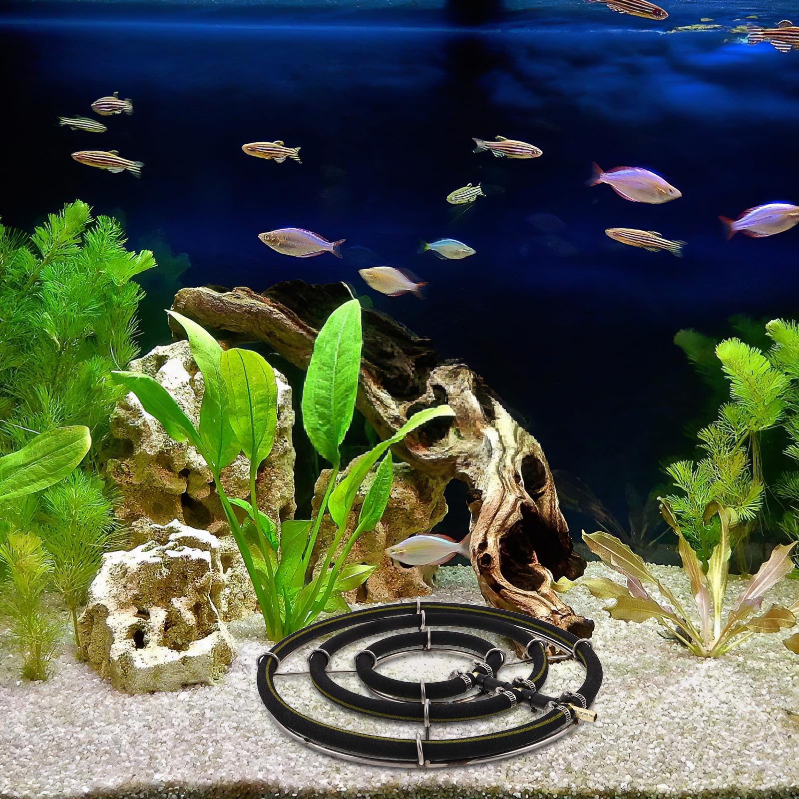 SHINEOFI Difusor de Oxígeno Redondo para Acuario y Estanque de Acero Inoxidable Tecnología Nano, Resistente Corrosión, Adecuado para Acuarios Familiares y Bombas de 8mm