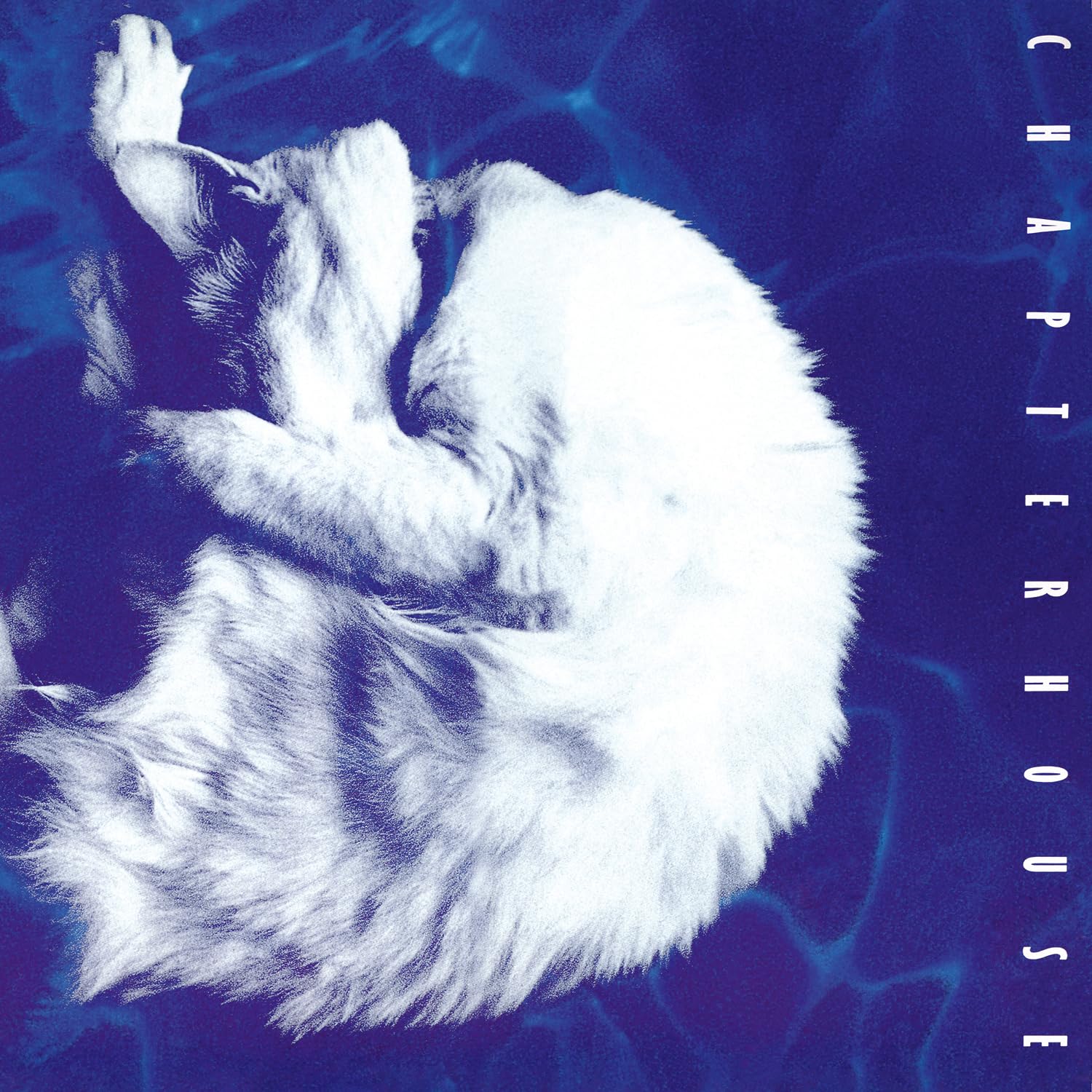 Whirlpoolアルバム Whirlpool: Amazon.sg: Music