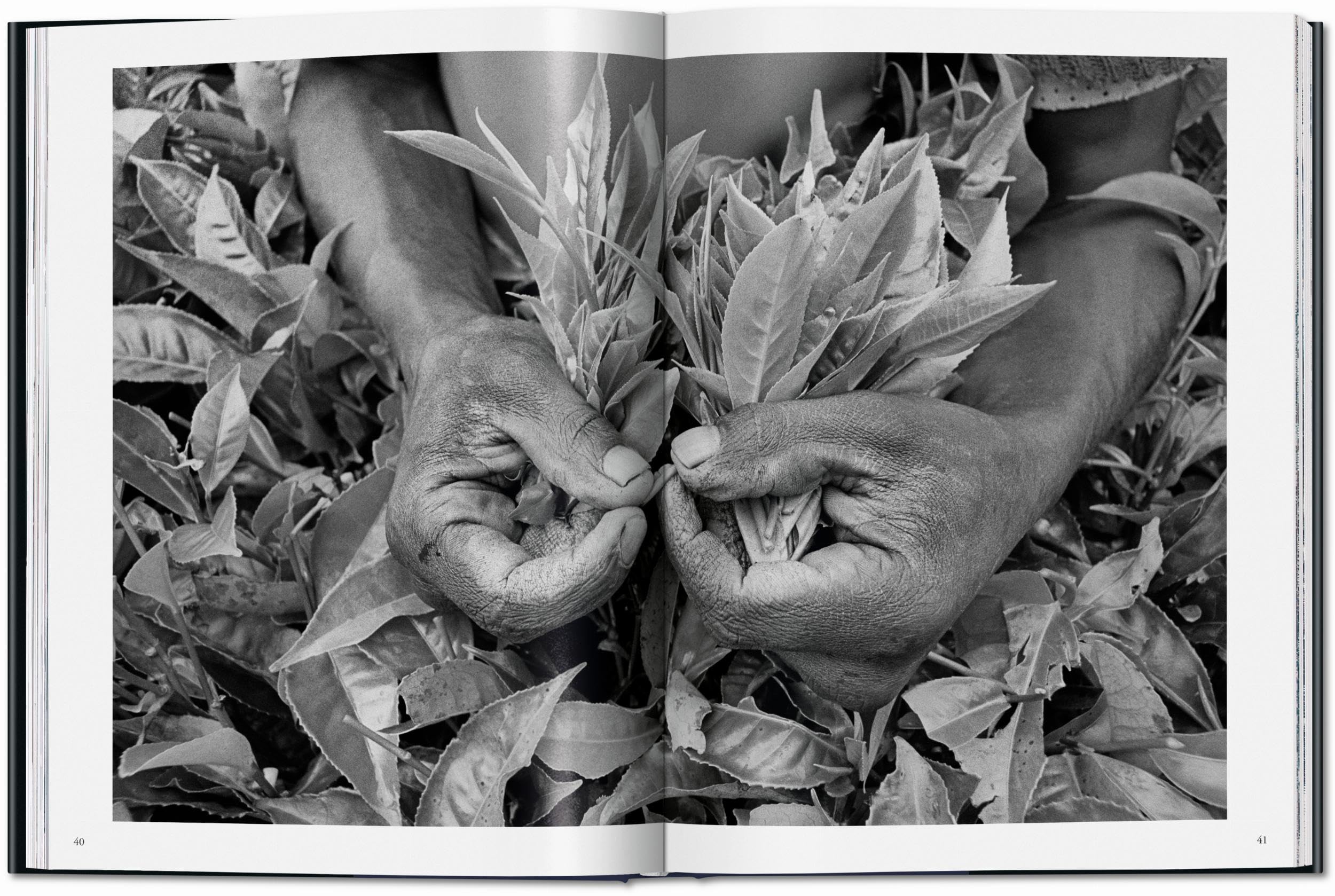 Sebastião Salgado. Workers. An Archaeology of the Industrial Age (Photography Book)