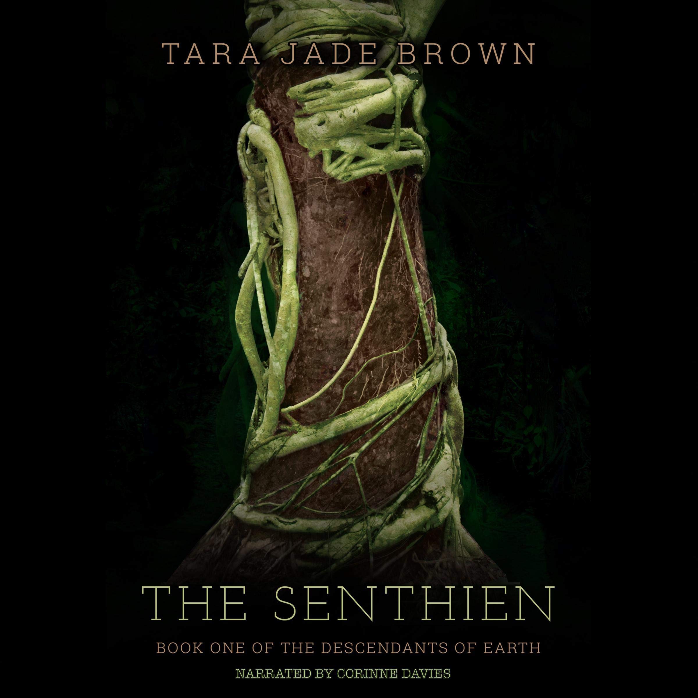 Cover art for The Senthien