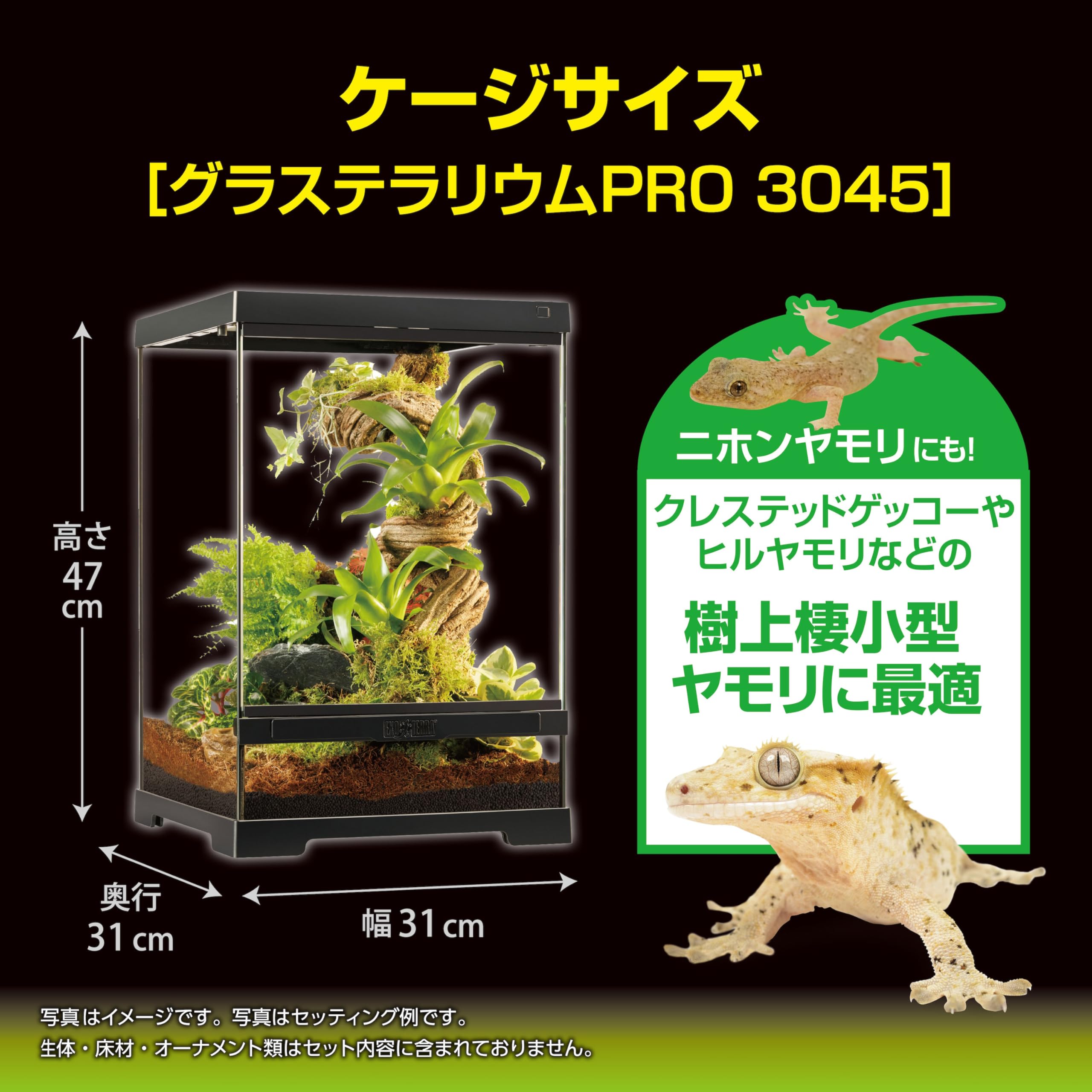 Amazon | エキゾテラ EXOTERRA クレス飼育キットGTP3045【飼育ガイド