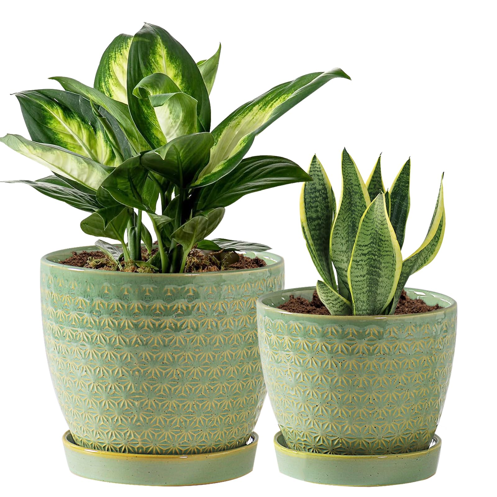 Swkien Sage Green Porcelain Planter Set