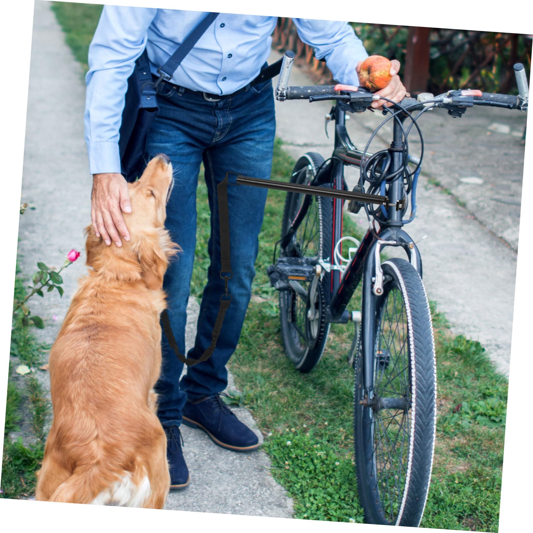 BESTonZON Laisse pour pour Chien Résistante à Usure Rétractable Conçue pour Chiens De Petite Et Moyenne Polyvalente Intérieur Extérieur