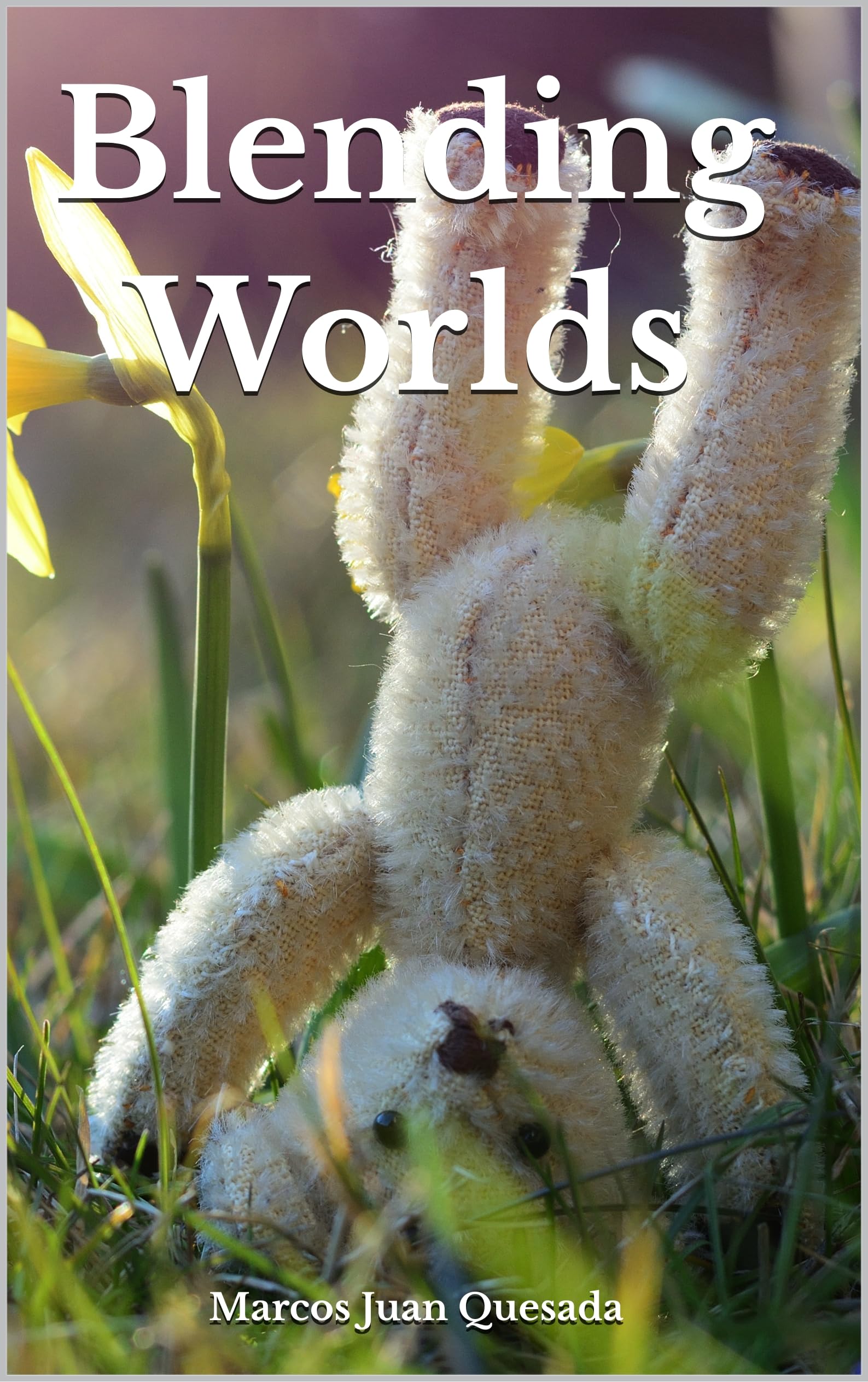 Blending Worlds English Edition intrigue croisée captivante et style littéraire moderne