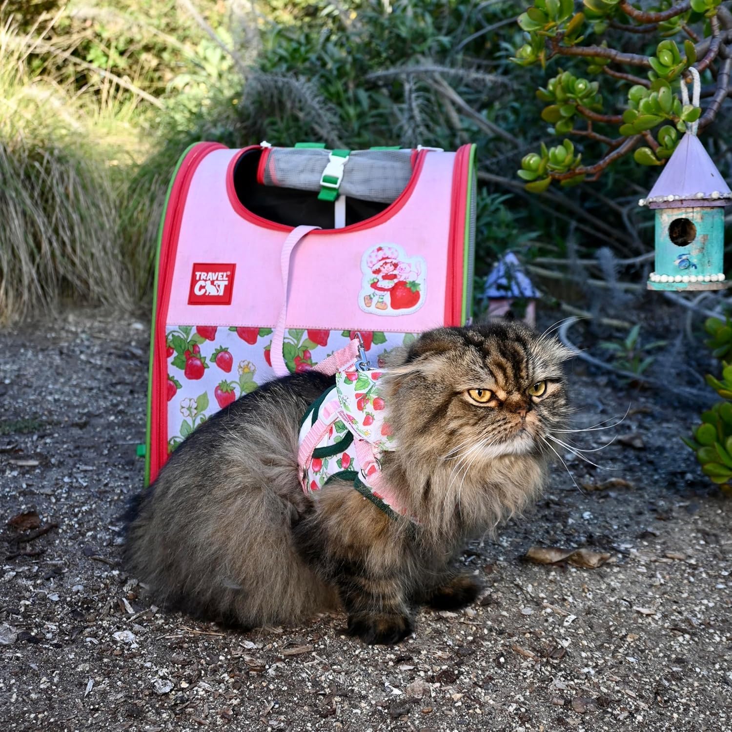 Travel Cat Set di pettorina e guinzaglio con motivo fragole, regolabile, in rete, con cinghia riflettente, per gatti, gattini, per attività all'aperto (torta alla fragola, grande)