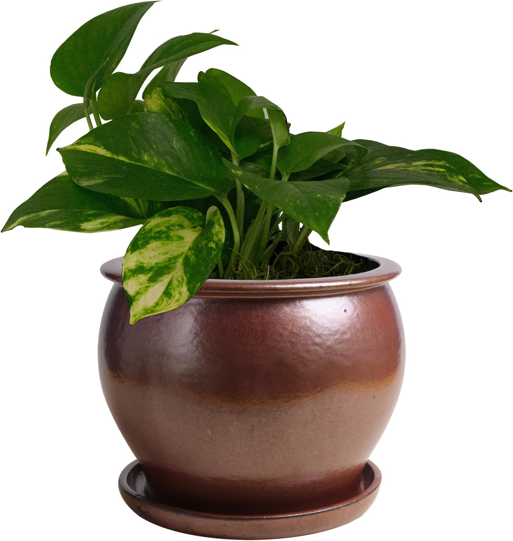 DB10021-09F Planter, Brown