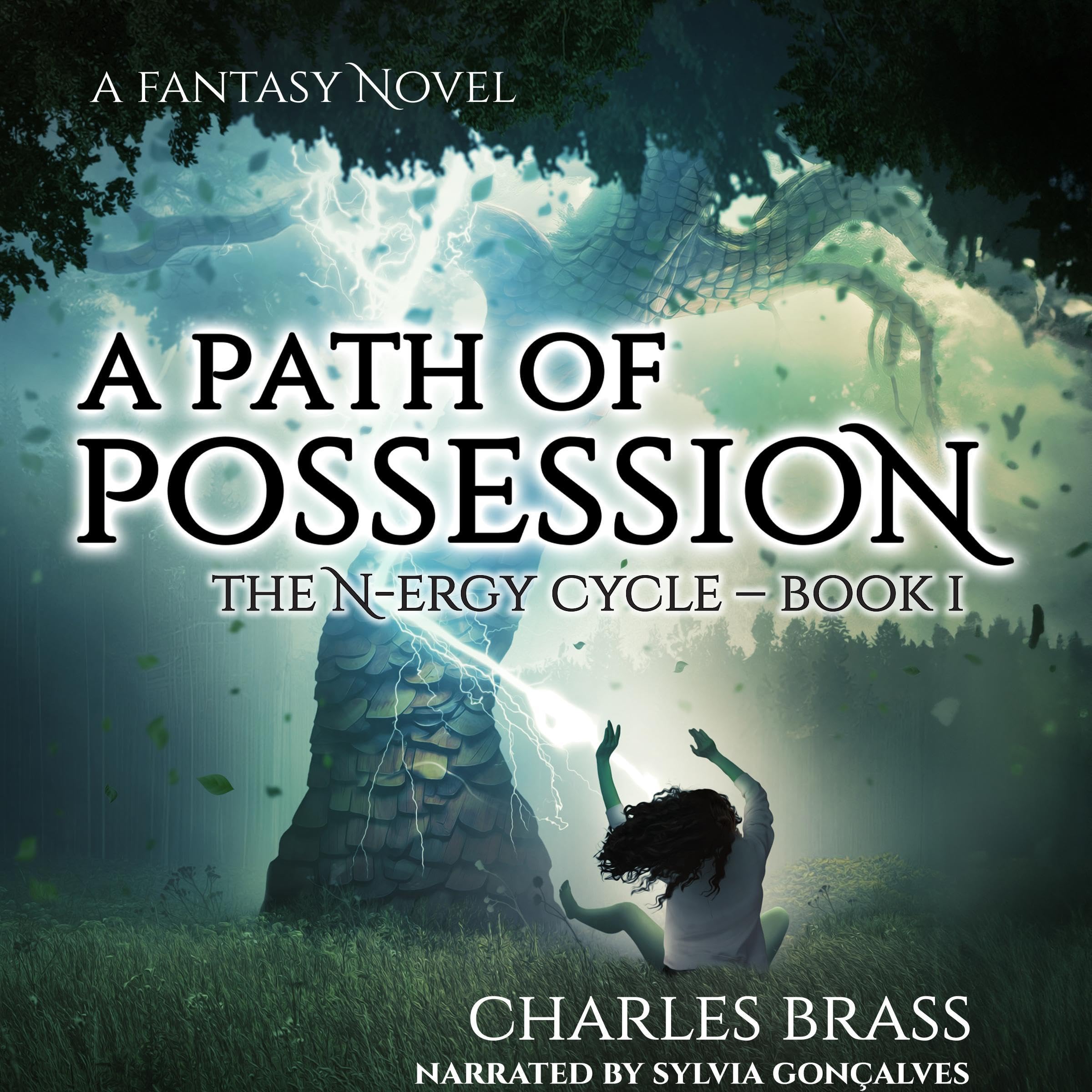 Cover art for A Path of Possession