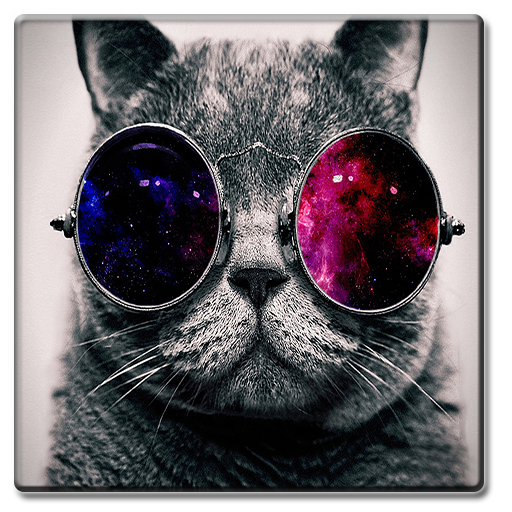 Aplicación Dubstep cat en Amazon Appstore