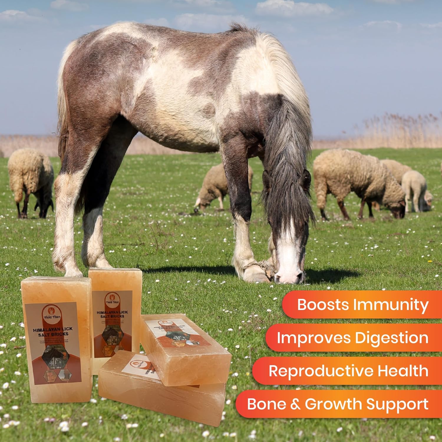 Himalayan Pink Salt Animal Lick Bricks for Livestock and Wildlife - 100% Pure & Natural Feed Salt - 84 Natural Minerals and Trace Elements (Pack of 4 Bricks)