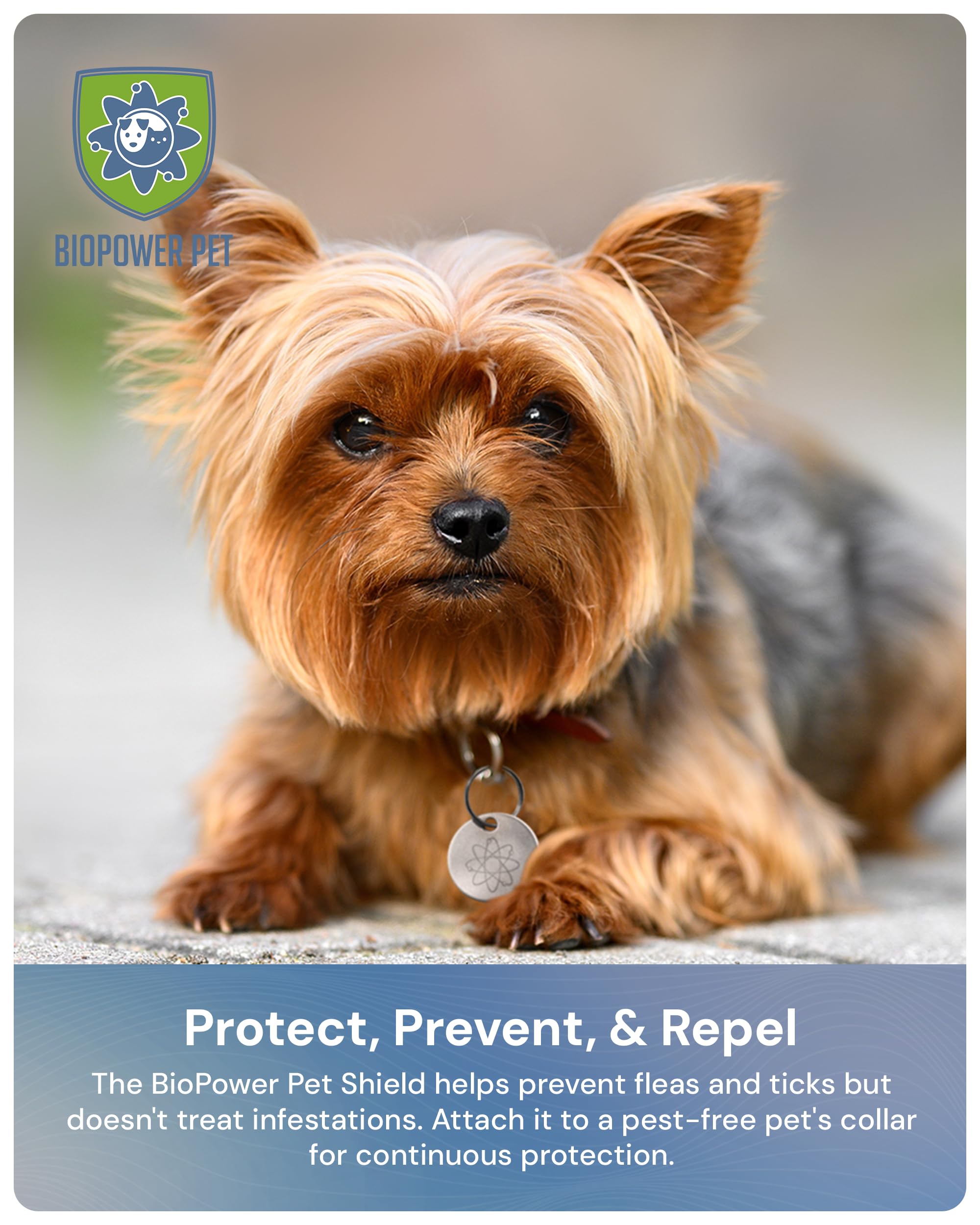 Natural Flea & Tick Repellent Collar Tag for Dogs & Cats – BioPower Pet Shield – Safe for Pets When Used as Directed – Lasts 1 Full Year - Regular Tag (1Pack) - image 7