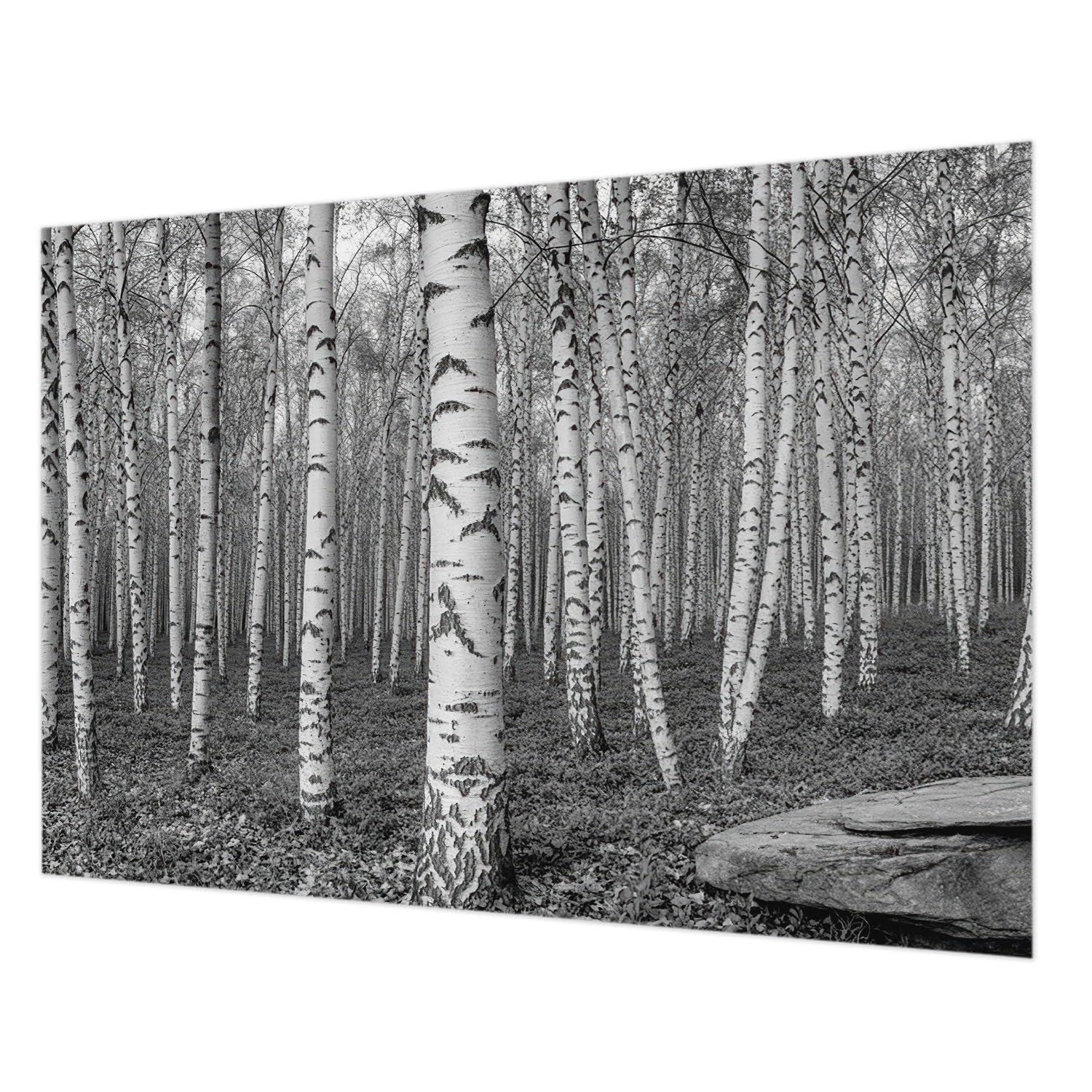 Papier peint forêt de bouleaux 312x219 cm pour créer un salon nature et cosy
