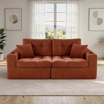 Luxanimarion 80" Boneless Loveseat Sofa, Cloud Couch with Layered Cushion, Small Couch Compressed Foam Sofa for Living Room, Apartment, Office, Reddish Brown Corduroy