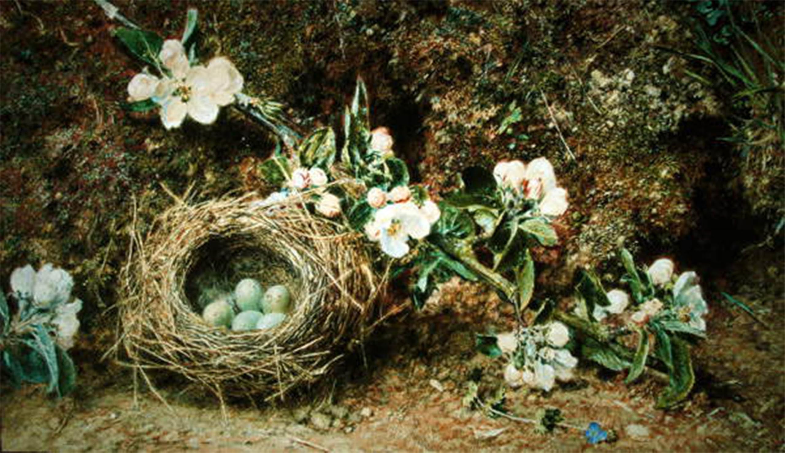 RZHRHJES Abstract Painting Poster Art Print Canvas Print Poster Bird's Nest and Dog Roses by William Henry Hunt Landscape Canvas Painting for Office Decor 60x90cm
