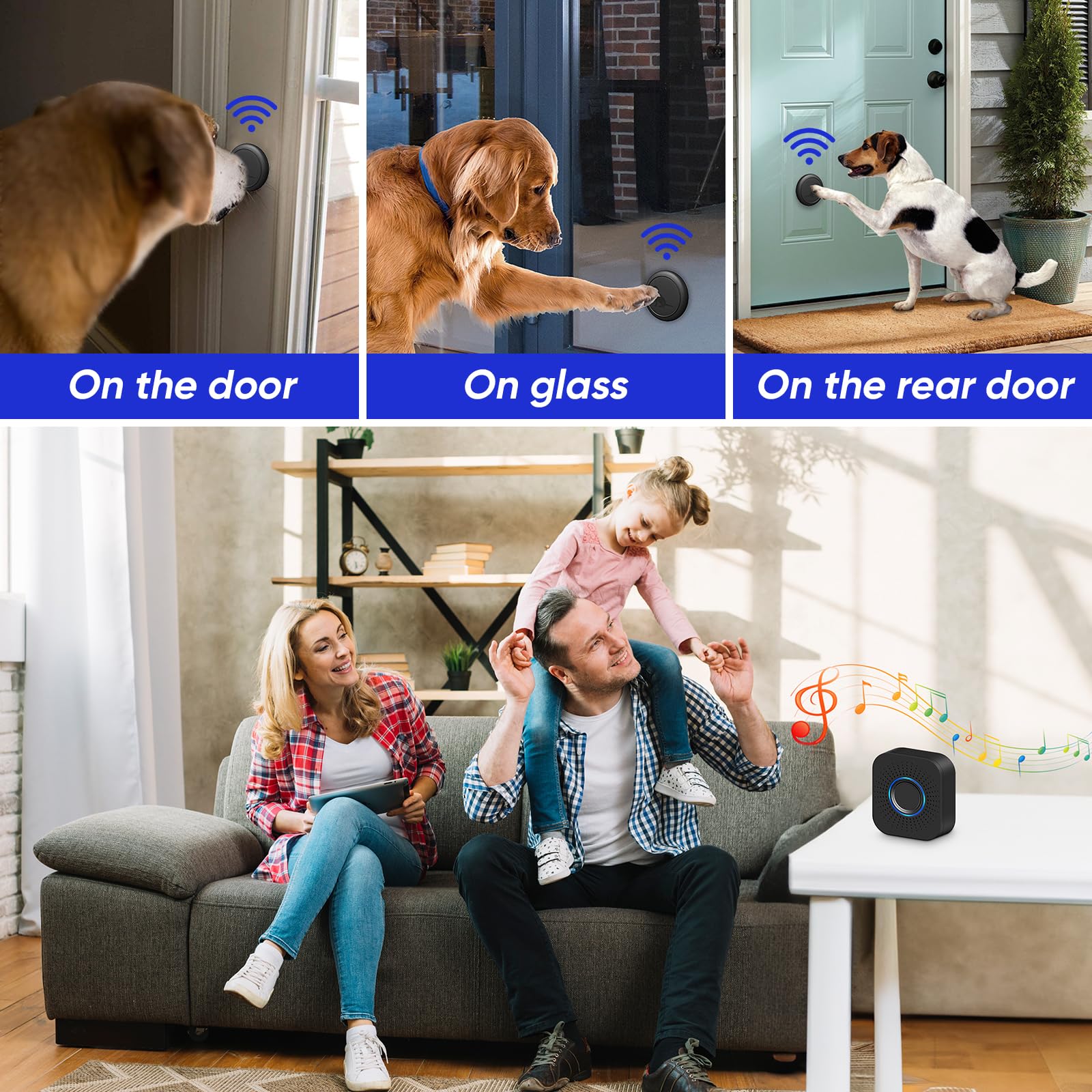 MYPIN Campanello per Cani, Campanello Cane Senza Fili per l'addestramento del Cane al Vasino, Impermeabili IP65, 1.000 Piedi, 1 Ricevitore CC + 2 Trasmettitori