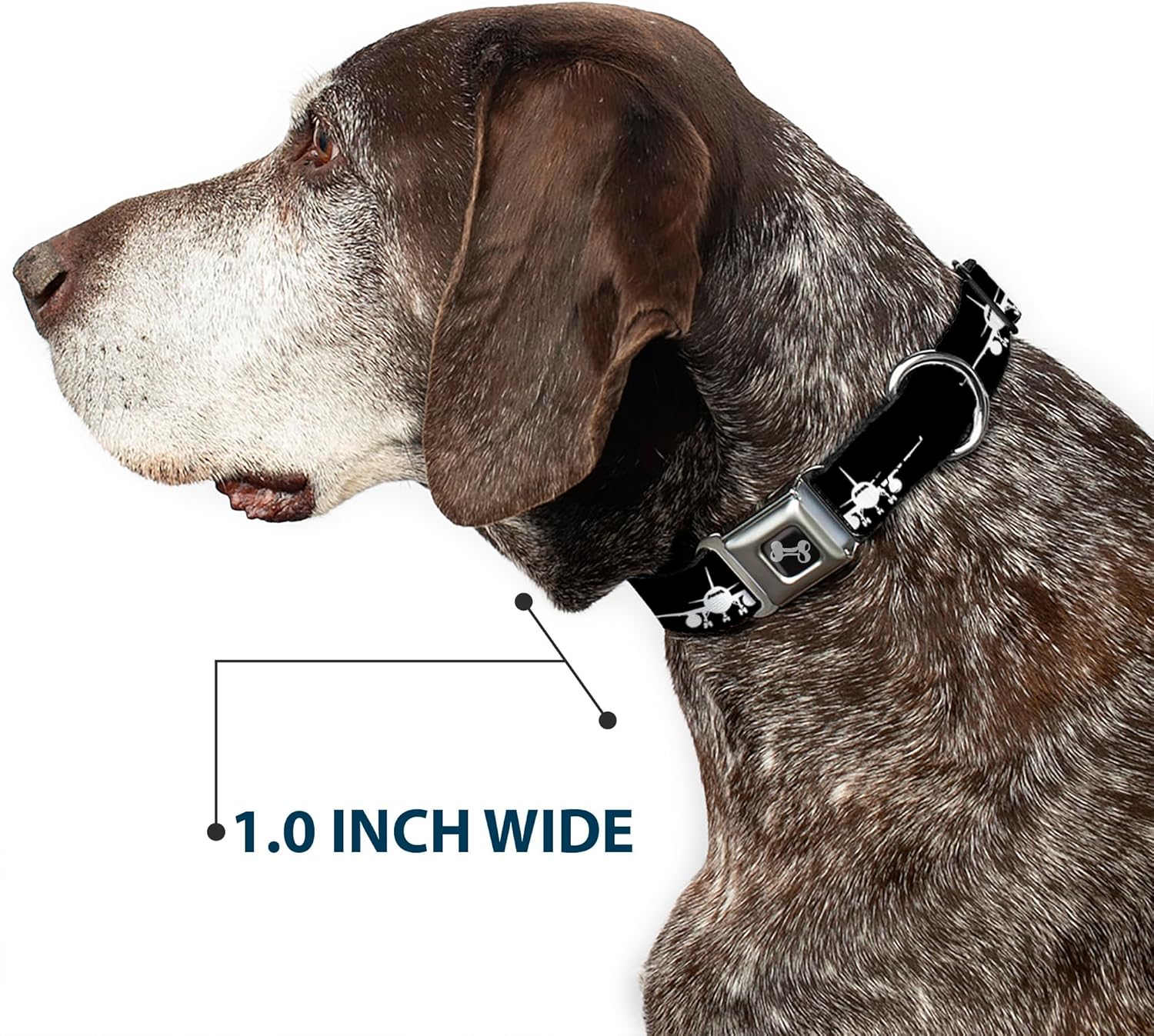 Dog Collar Seatbelt Buckle Airplane Silhouette Black White 16 to 23 Inches 1.5 Inch Wide