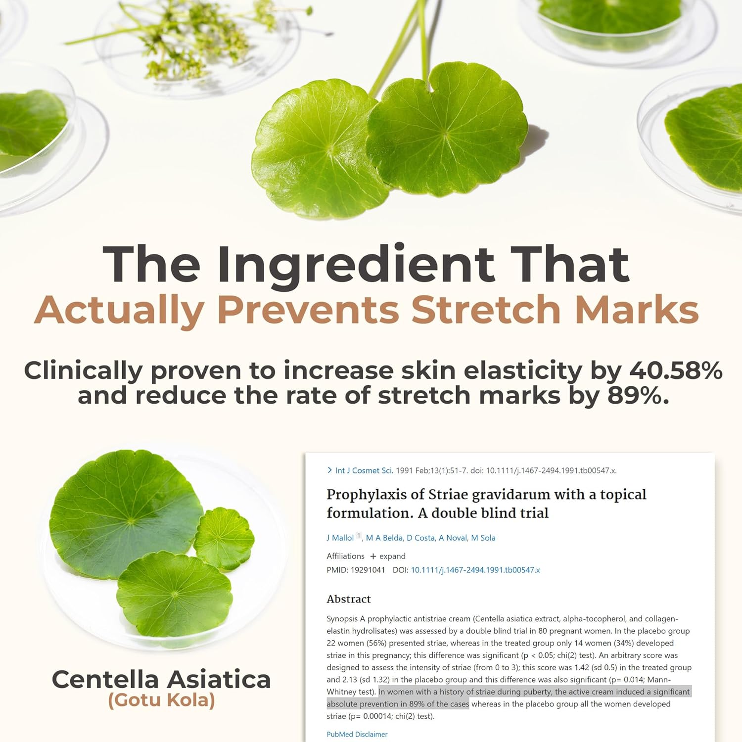 8 Sheep True Belly Serum, Pregnancy-Safe Skin Care Belly Oil with Triple-Weighted Hyaluronic Acid & Centella Asiatica, Supports Hydration & Skin Elasticity, Made in USA in Small Batches, 4 FL OZ - Image 5