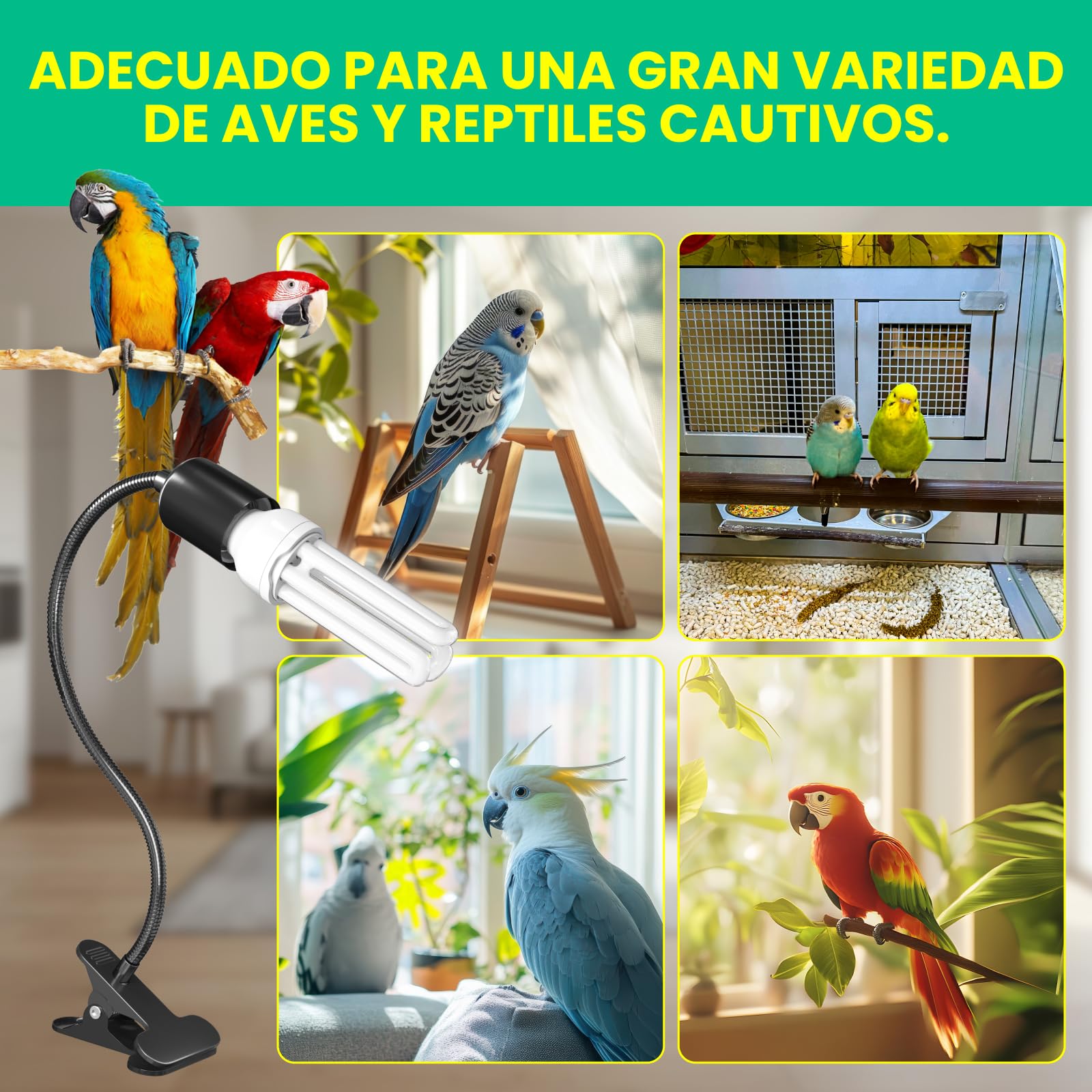 GlowUp Lámpara para Aves Set Completo con Temporizador, Lámpara de Abrazadera con Bombilla UVB 2.4 E27 20W para Aves