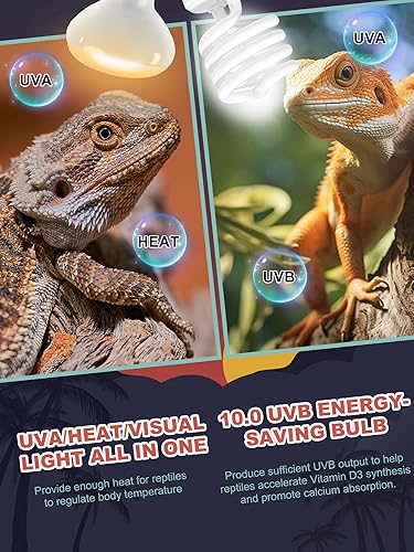 Heat Lamp Combo, 100W UVA Daylight Reptile Heat Lamp Bulb and 26W Desert 10.0 UVB Light for Reptiles, Energy Saving UVB Bulb, Infrared Light Basking Light for Bearded Dragon, Turtle and Lizard