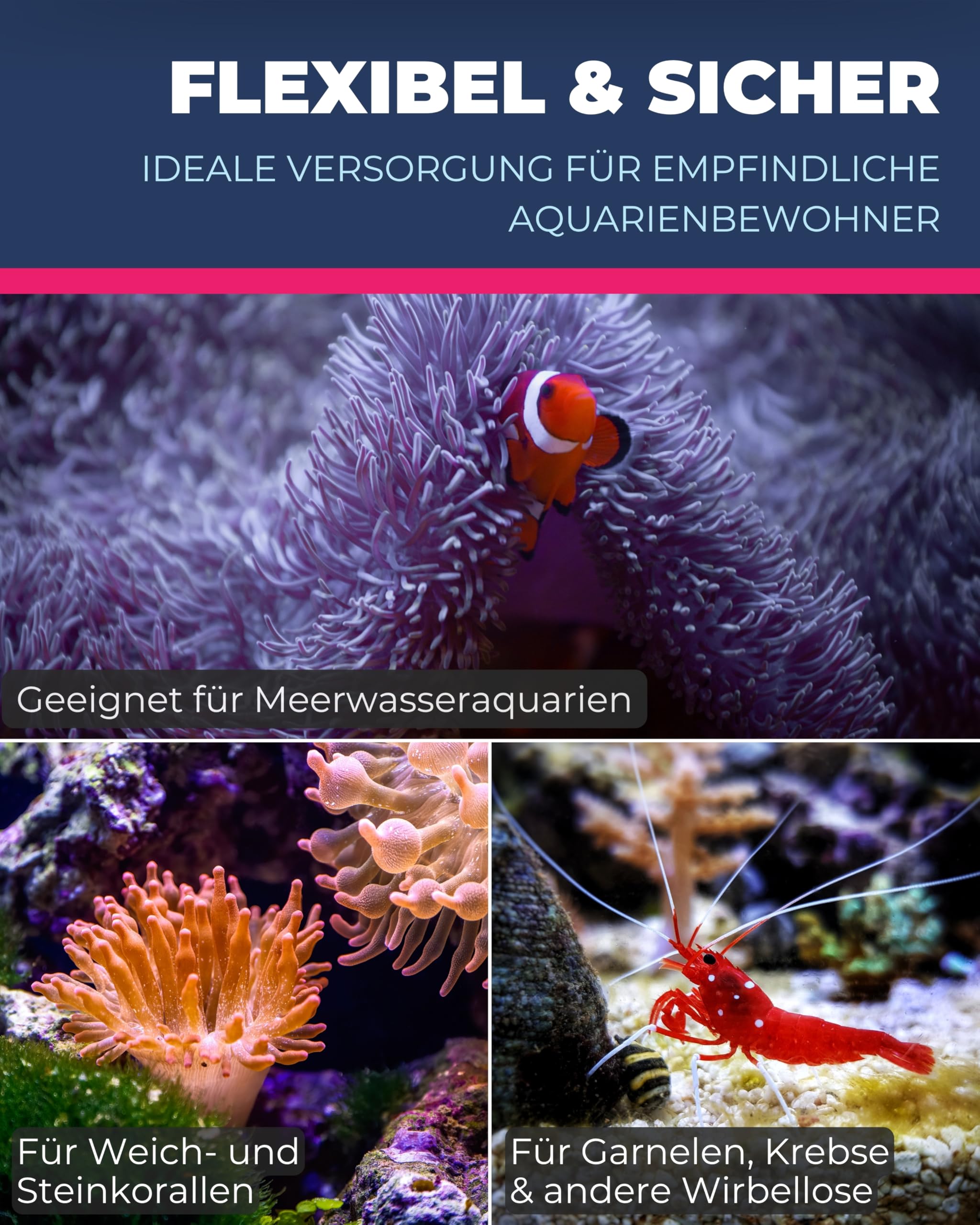 Dupla Marin Silent Nano Waver 1.500 I Strömungspumpe mit 1.500 l/h Durchfluss I Leise & leistungsstarke Aquarium Pumpe für Meerwasser & Süßwasser I Natürliche Wasserbewegung