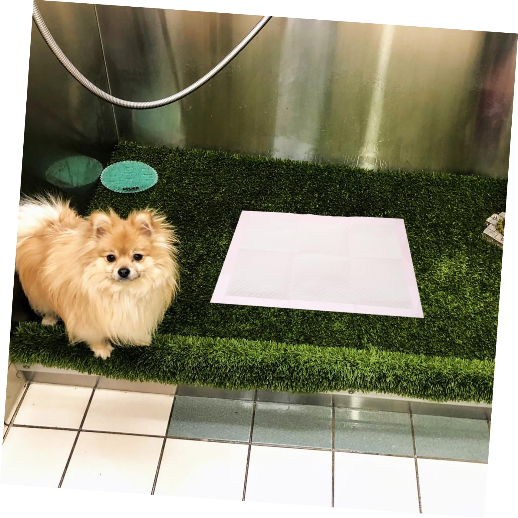 100piezas Empapadores Desechables para Entrenamiento De Mascotas Super Absorbentes y Antideslizantes Almohadillas Impermeables para Perros y Gatos para Adiestramiento Casa