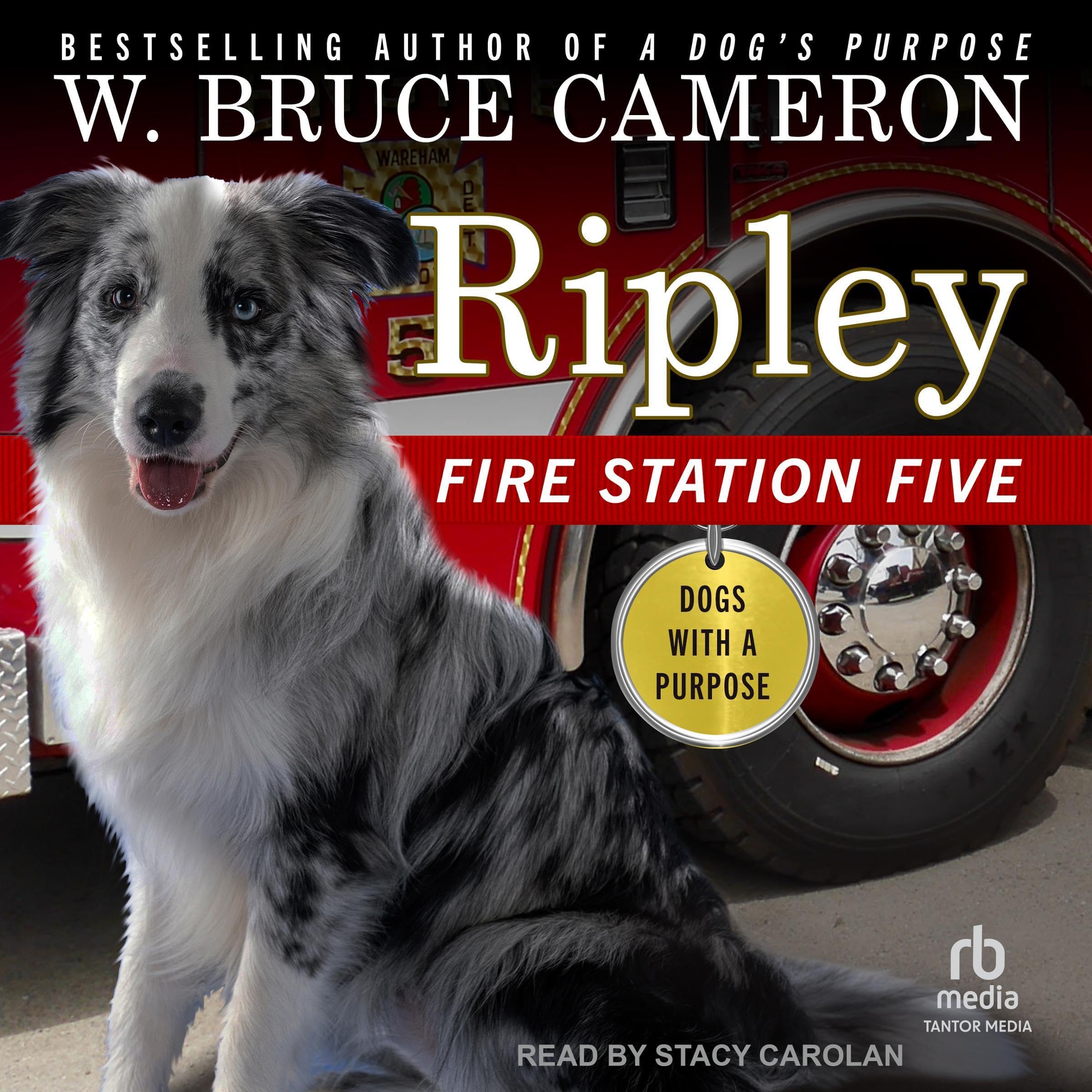 Cover art for Ripley: Fire Station Five