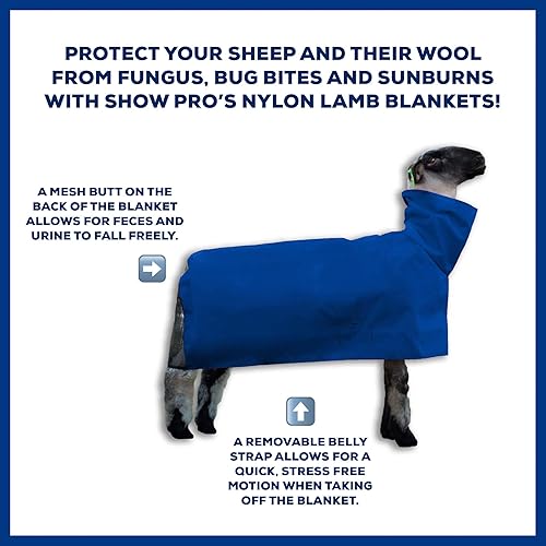 Miniatura 3 de Show Pro - Manta de oveja azul de nailon, malla para mostrar ovejas y corderos, suministros para ganado para cubierta de ovejas. Concentrado de