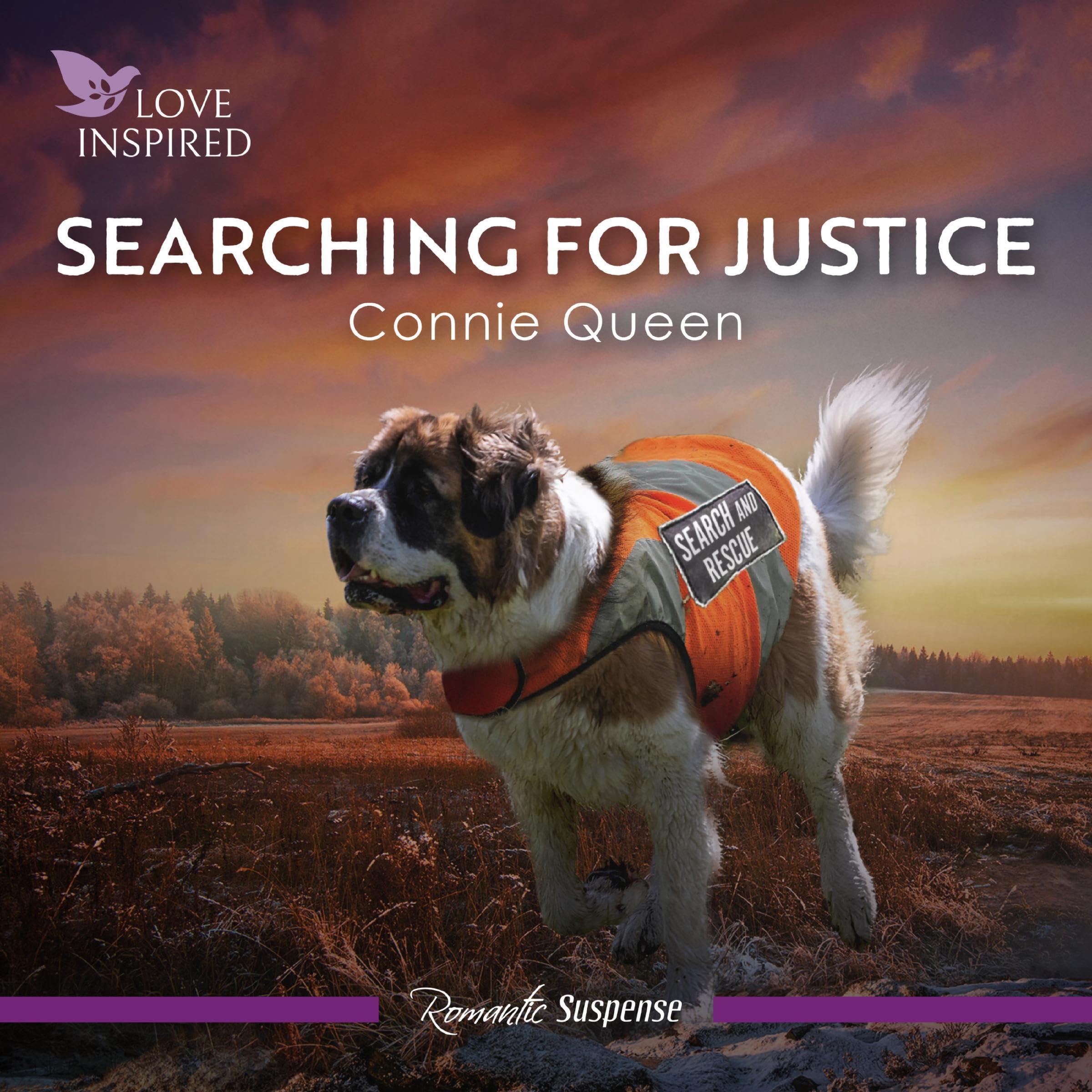 Cover art for Searching For Justice