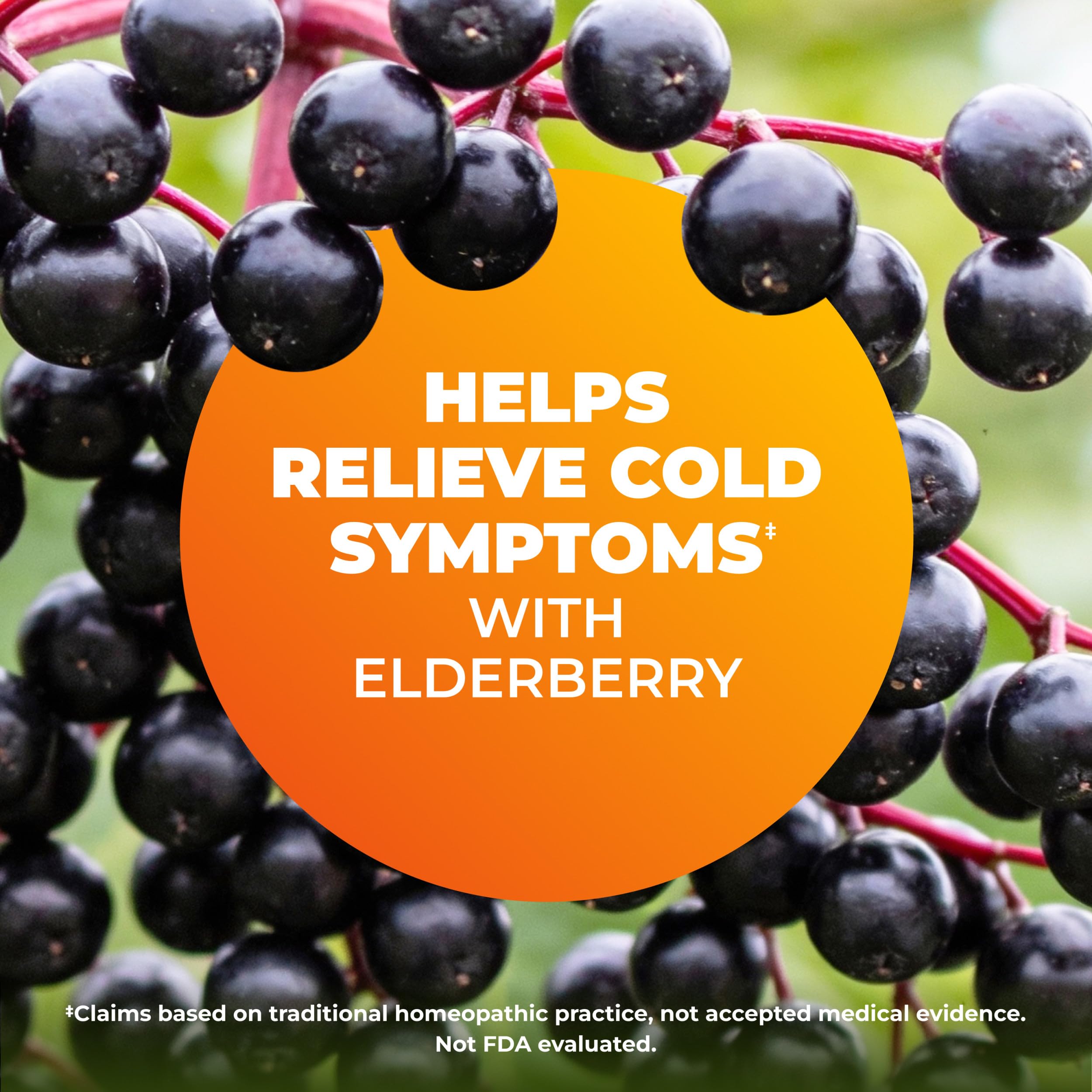 Zicam Cold Remedy RapidMelts Plus Elderberry, Elderberry Citrus, 25 Count — Amazon image 4