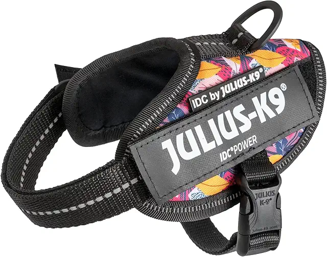 Harnais IDC Power Taille 2XS/Baby 2 - Harnais Chien Julius Limited Edition