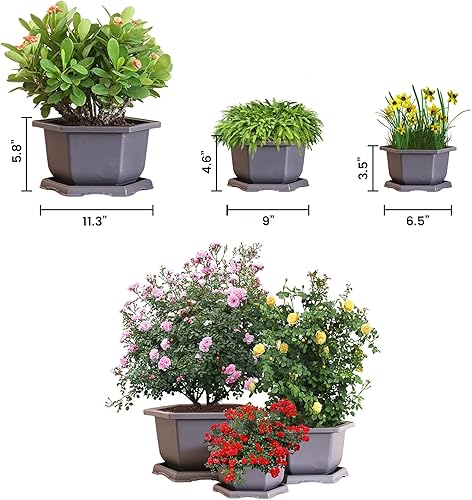 Miniatura 2 de Tres ollas y bandejas hexagonales de plástico para bonsái + pala de plástico y 6 marcadores en forma de T