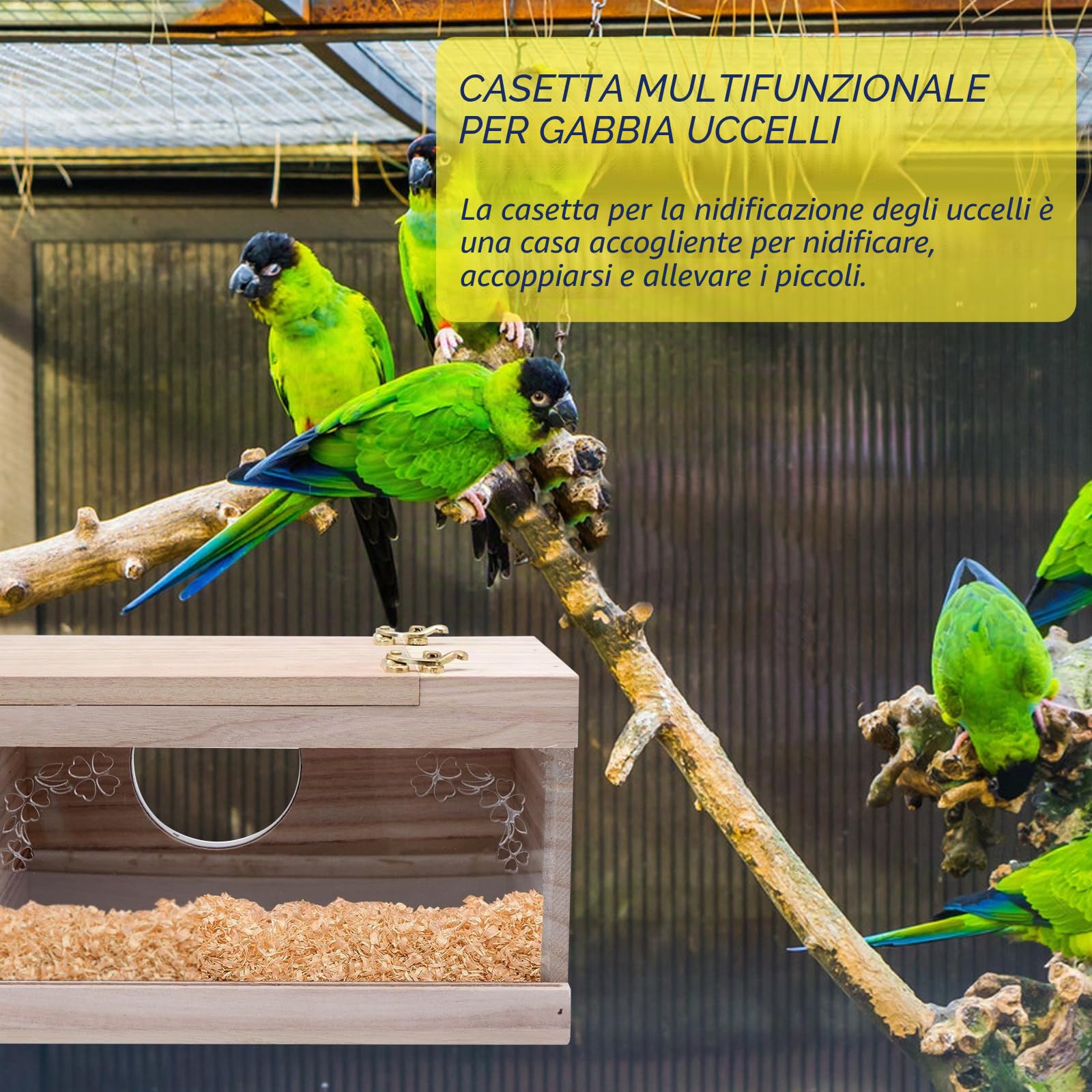 Scatola per Allevamento in Legno Cocorita Nido Nidificazione Casa con Legno