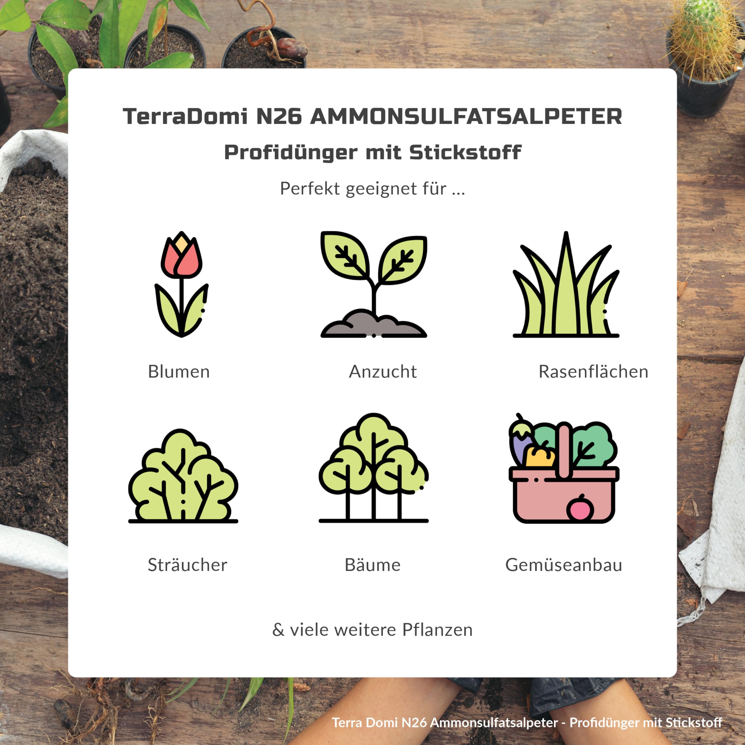 TerraDomi Ammonsulfatsalpeter N26 Stickstoff-Dnger