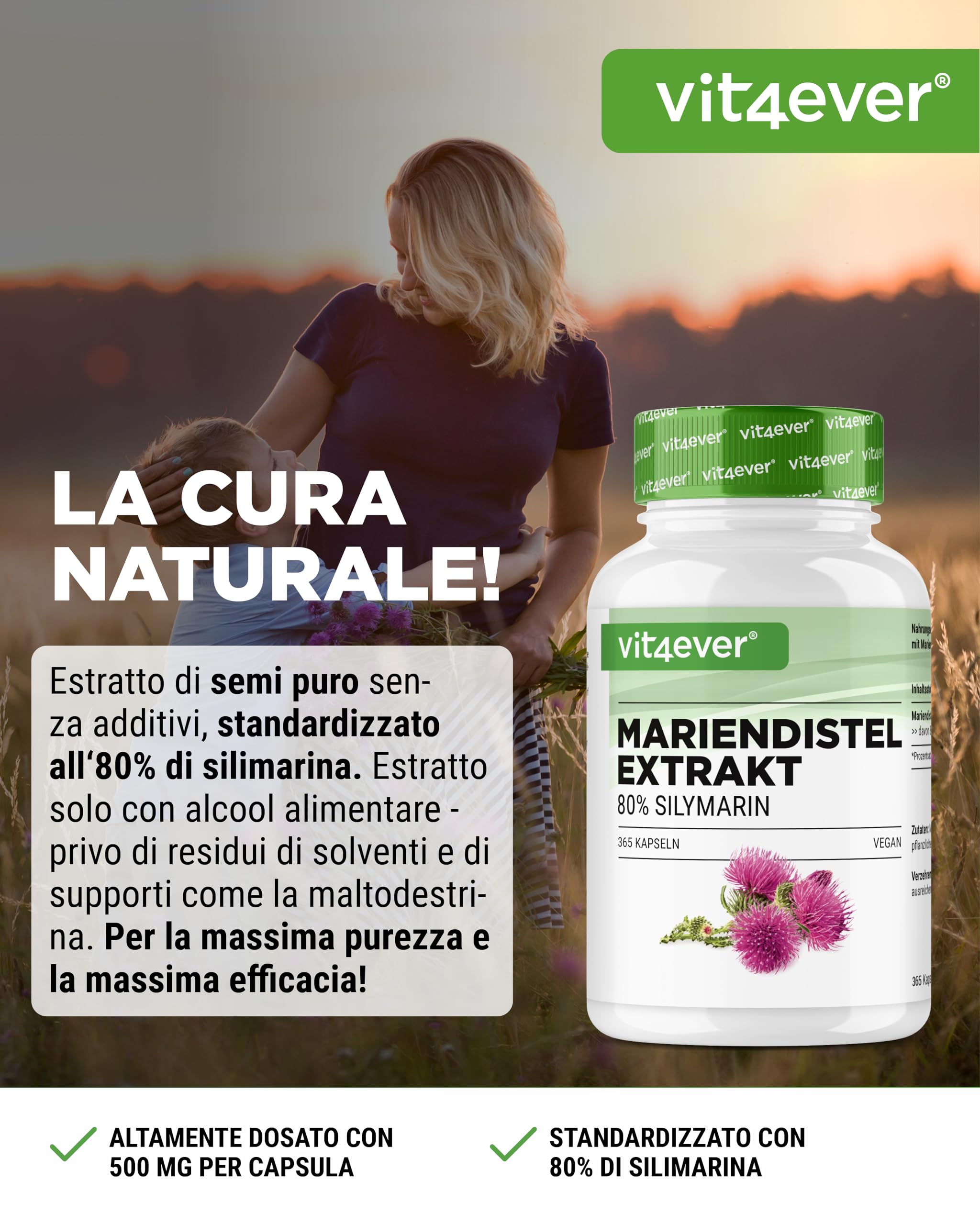 Estratto di cardo mariano 365 capsule da 500 mg ciascuna - contenuto di silimarina all'80% - fornitura per 12 mesi - dosaggio elevato - vegano