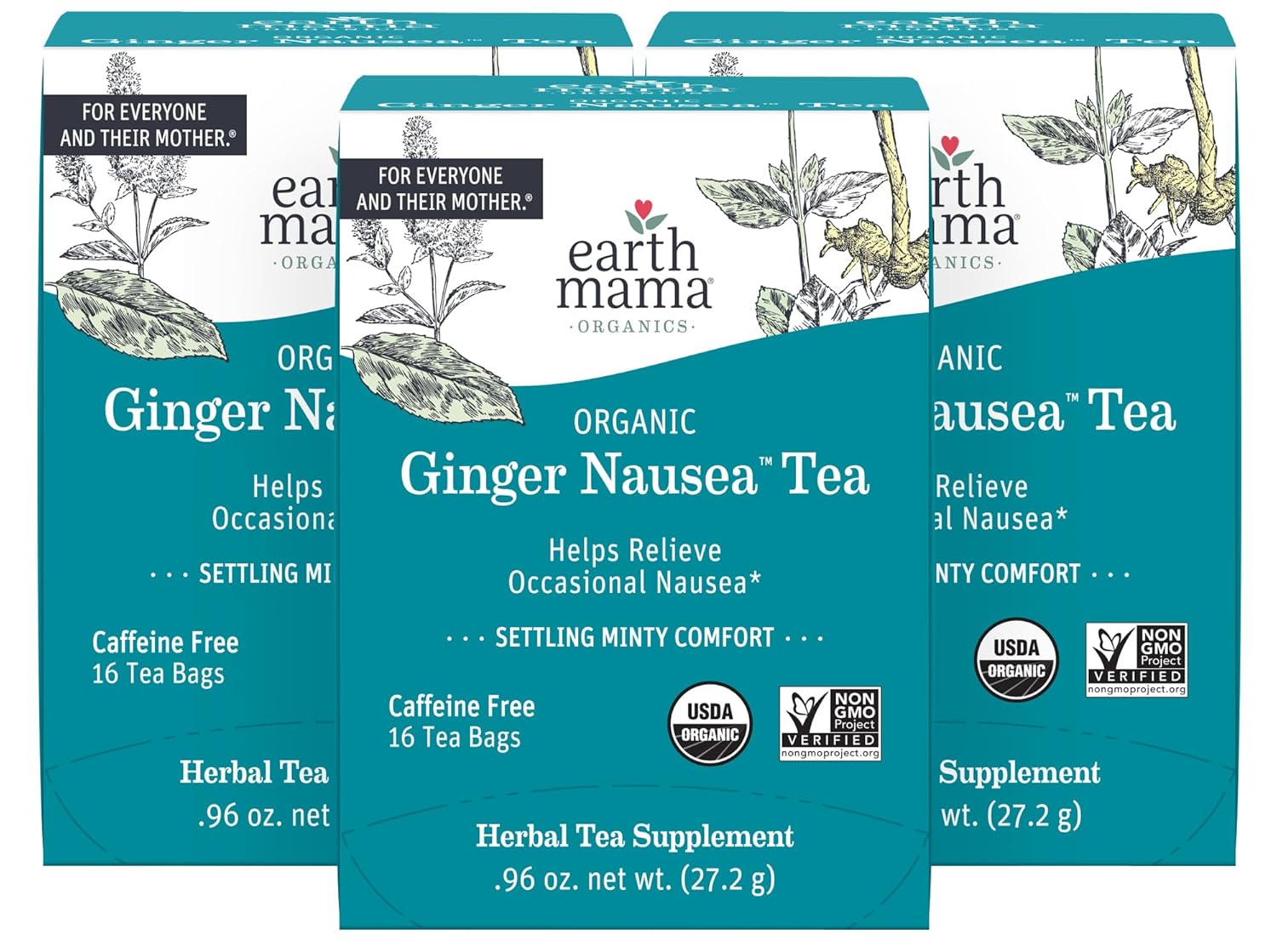 Earth Mama Organic Ginger Nausea™ Tea | Comforts Occasional Nausea + Morning Sickness, 16 Teabags Per Box (3-Pack) Ginger Nausea 16 Count (Pack of 3)