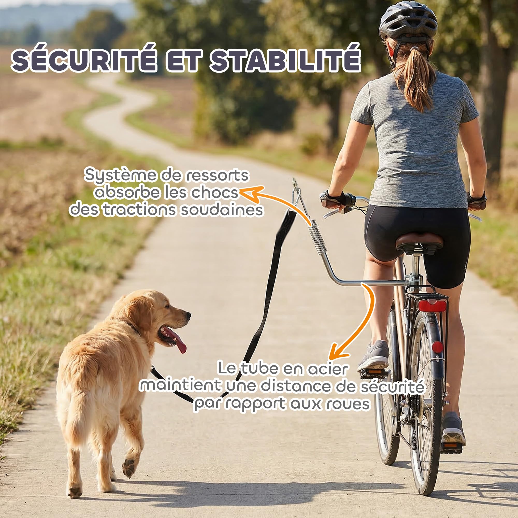 PawHut Laisse de Vélo pour Chien 180 cm en INOX, Fixation Rapide, Ressort Amortisseur, Sangle Ajustable, Vélo pour Chien Mains Libres, Laisse d'exercice pour Entraînement Jogging Cyclisme, Argent