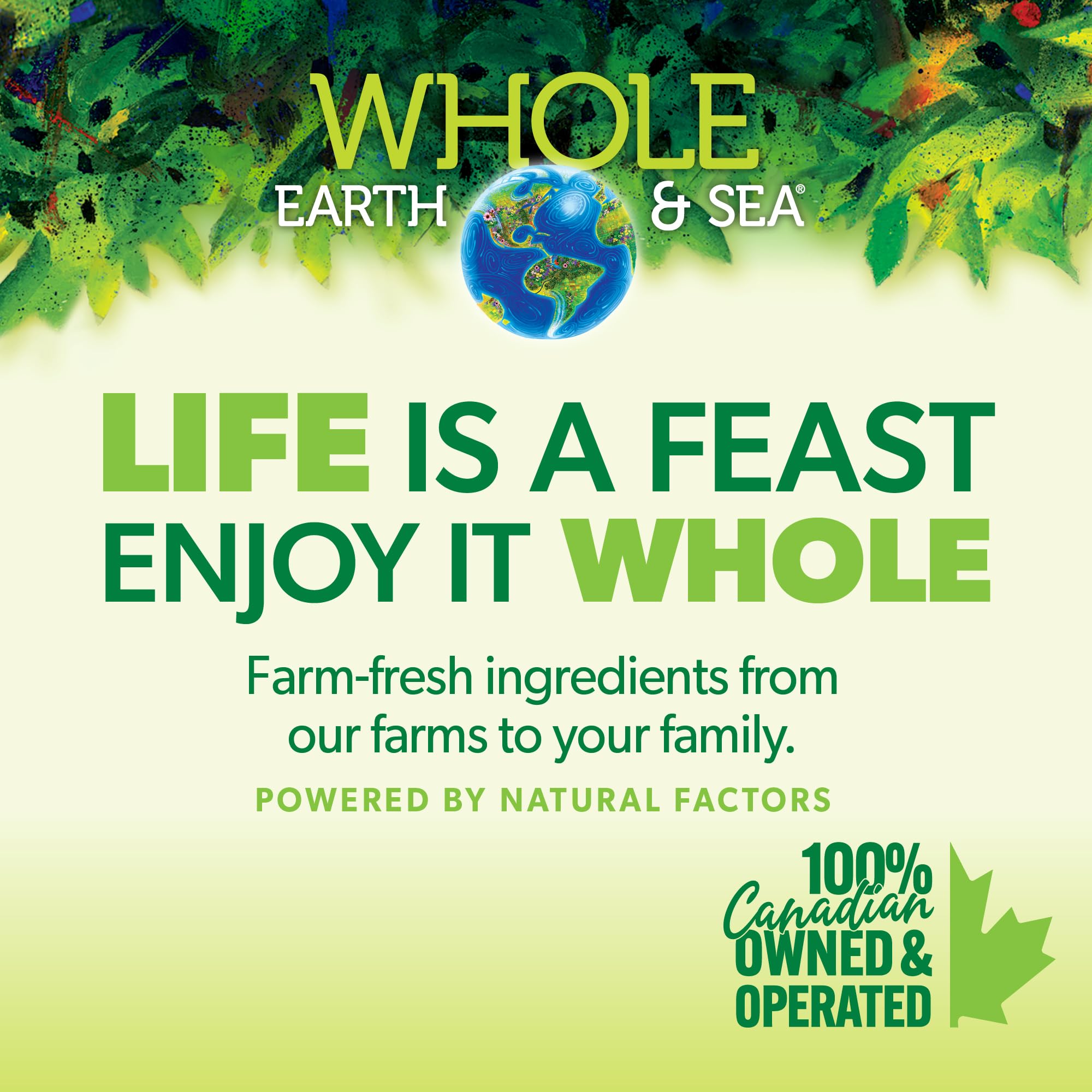 Whole Earth & Sea Men's Multivitamin & Mineral, 120 Vegan Tablets — Amazon image 8