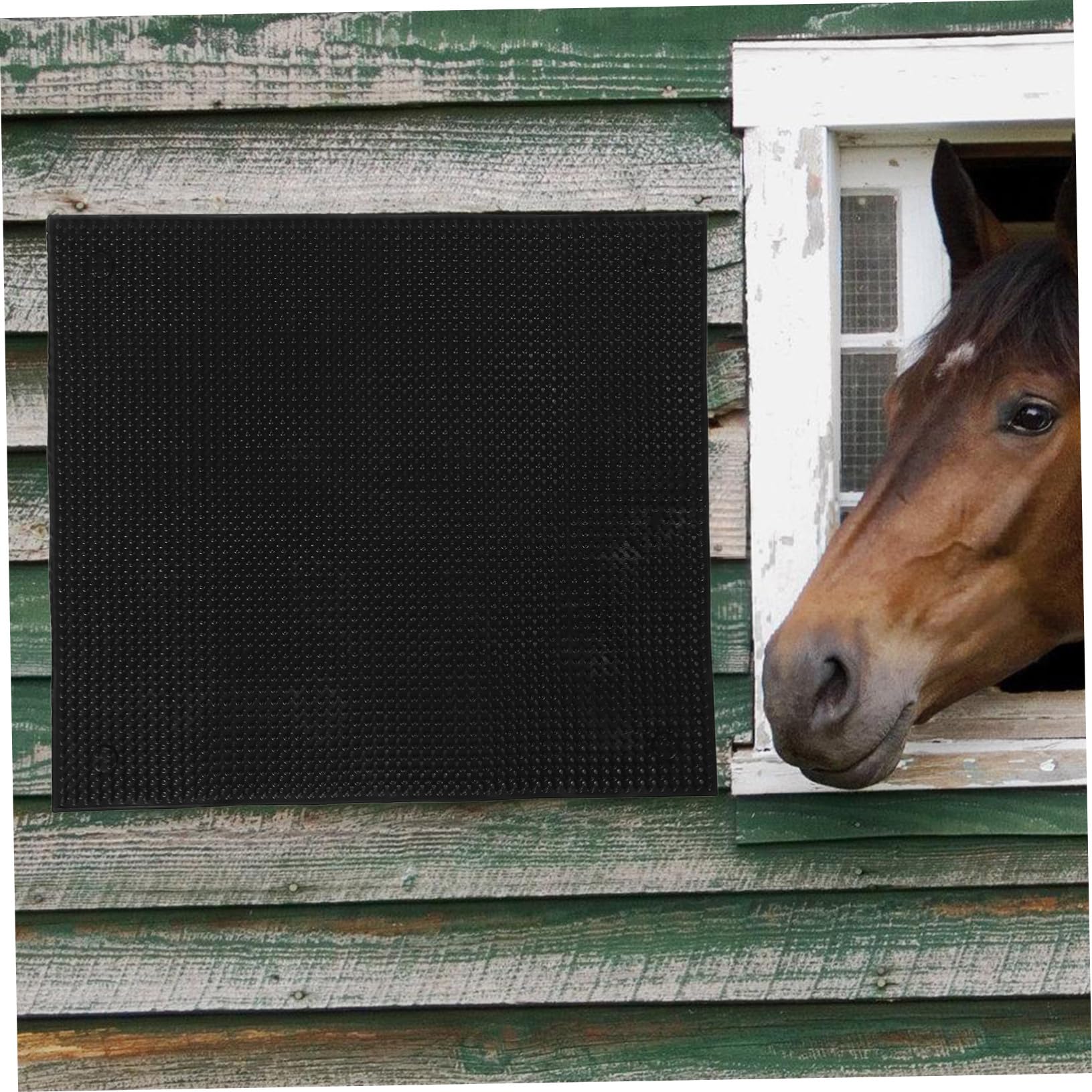 Spazzola per Bovini in Silicone Nera, 1 Pz, per Allevamento | Uso in Stalla e Fattoria, Struttura Robusta, Articolo per Cavalli e Bestiame