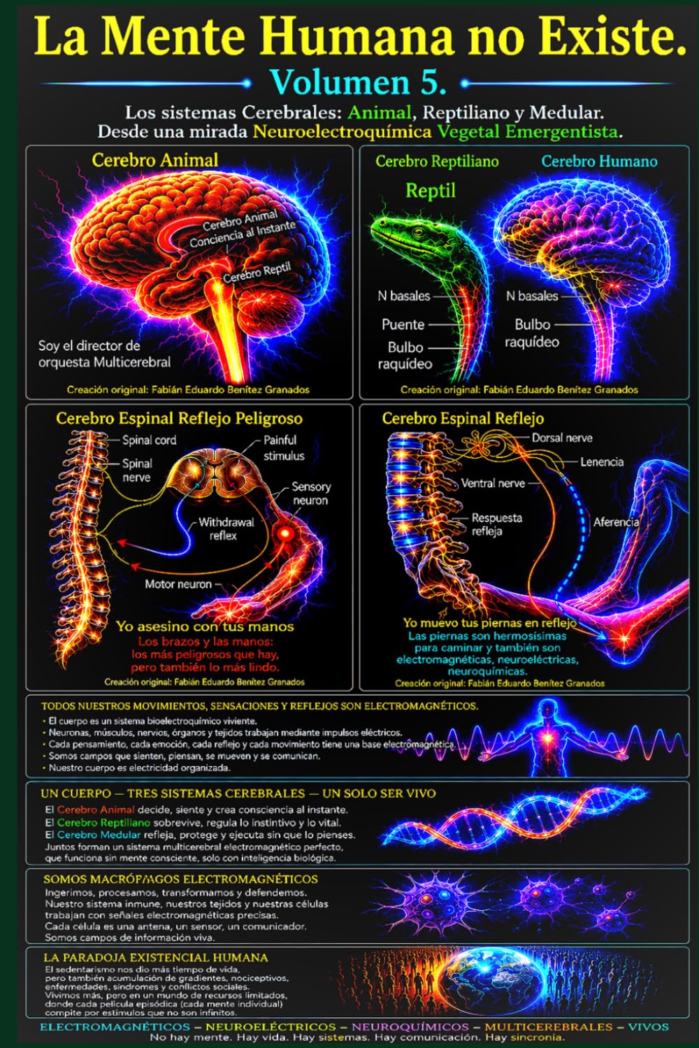 La Mente Humana no Existe. Pero los Cerebros Animal, Reptiliano y Medular Si.: Desde una mirada Neuroelectroquímica Vegetal Emengentista. Porque Somos lo que Somos